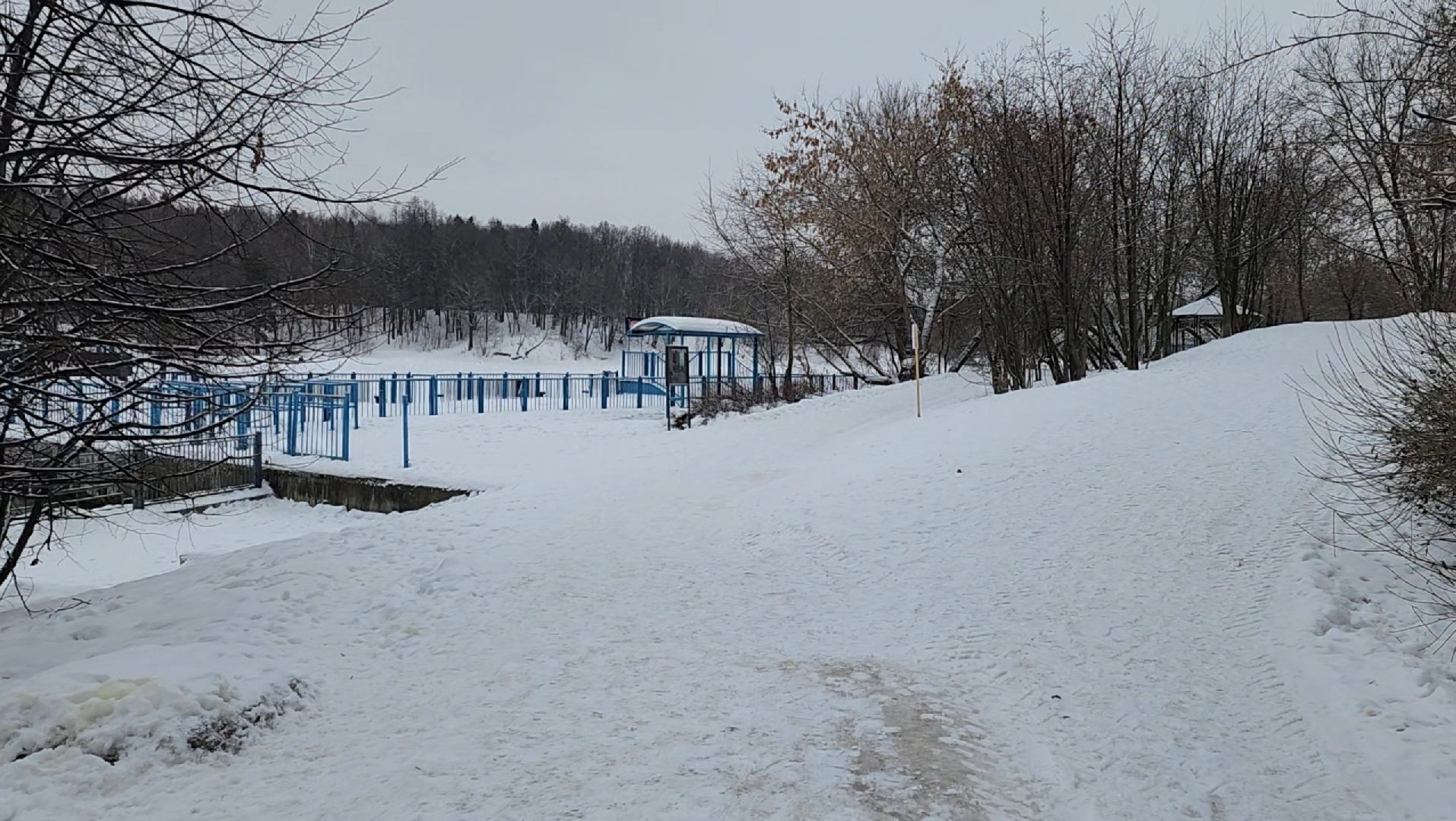 салют, фейверки, закон, вертикалки,