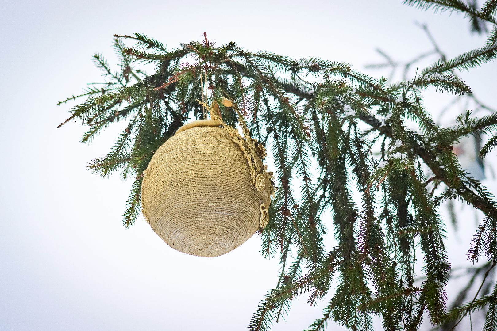 Клин, общество, образование, зима в подмосковье, вертикалки,