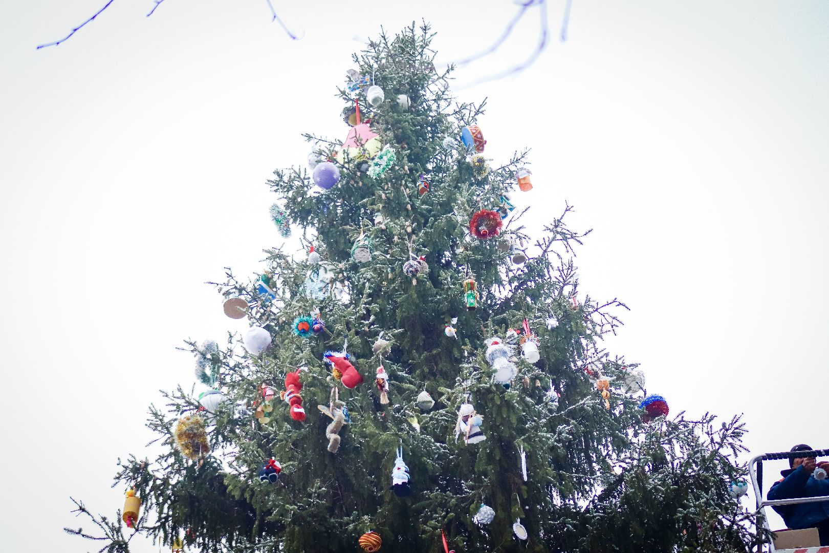 Клин, общество, образование, зима в подмосковье, вертикалки,