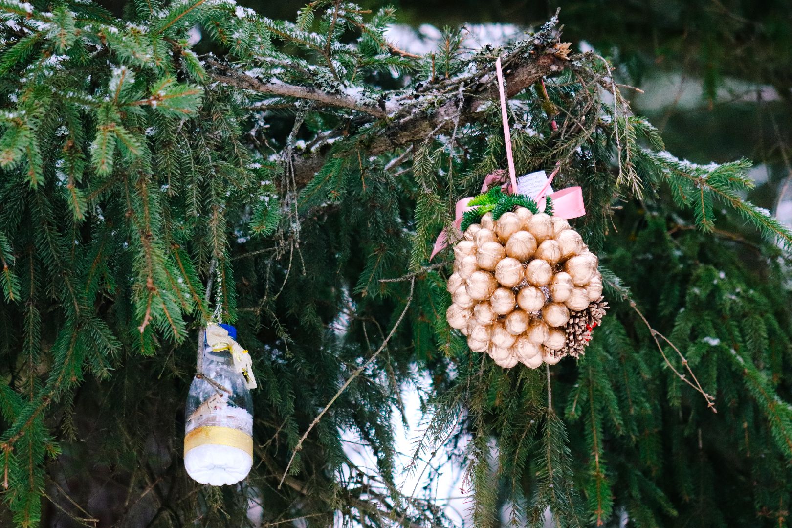 Клин, общество, образование, зима в подмосковье, вертикалки,