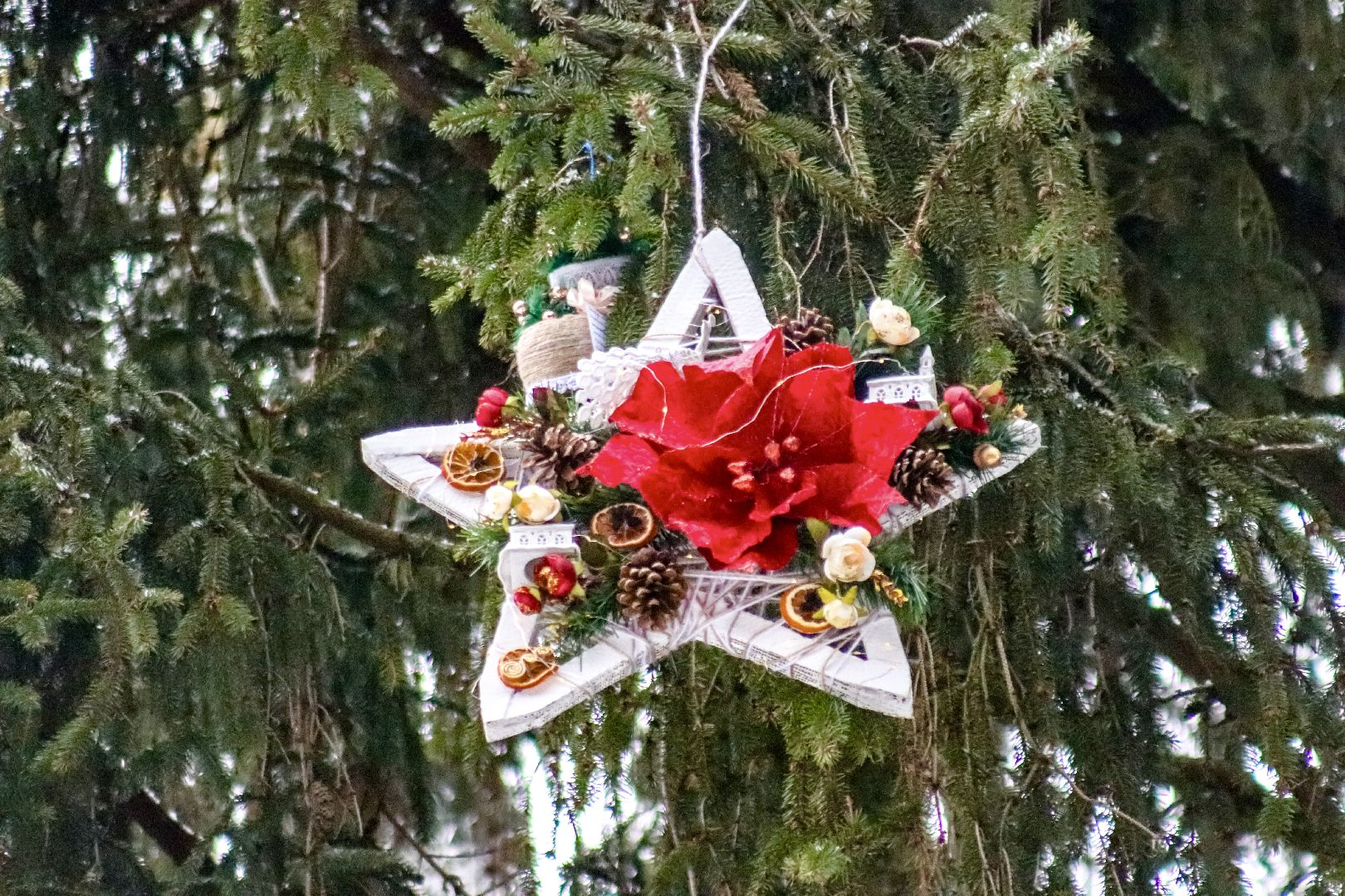 Клин, общество, образование, зима в подмосковье, вертикалки,