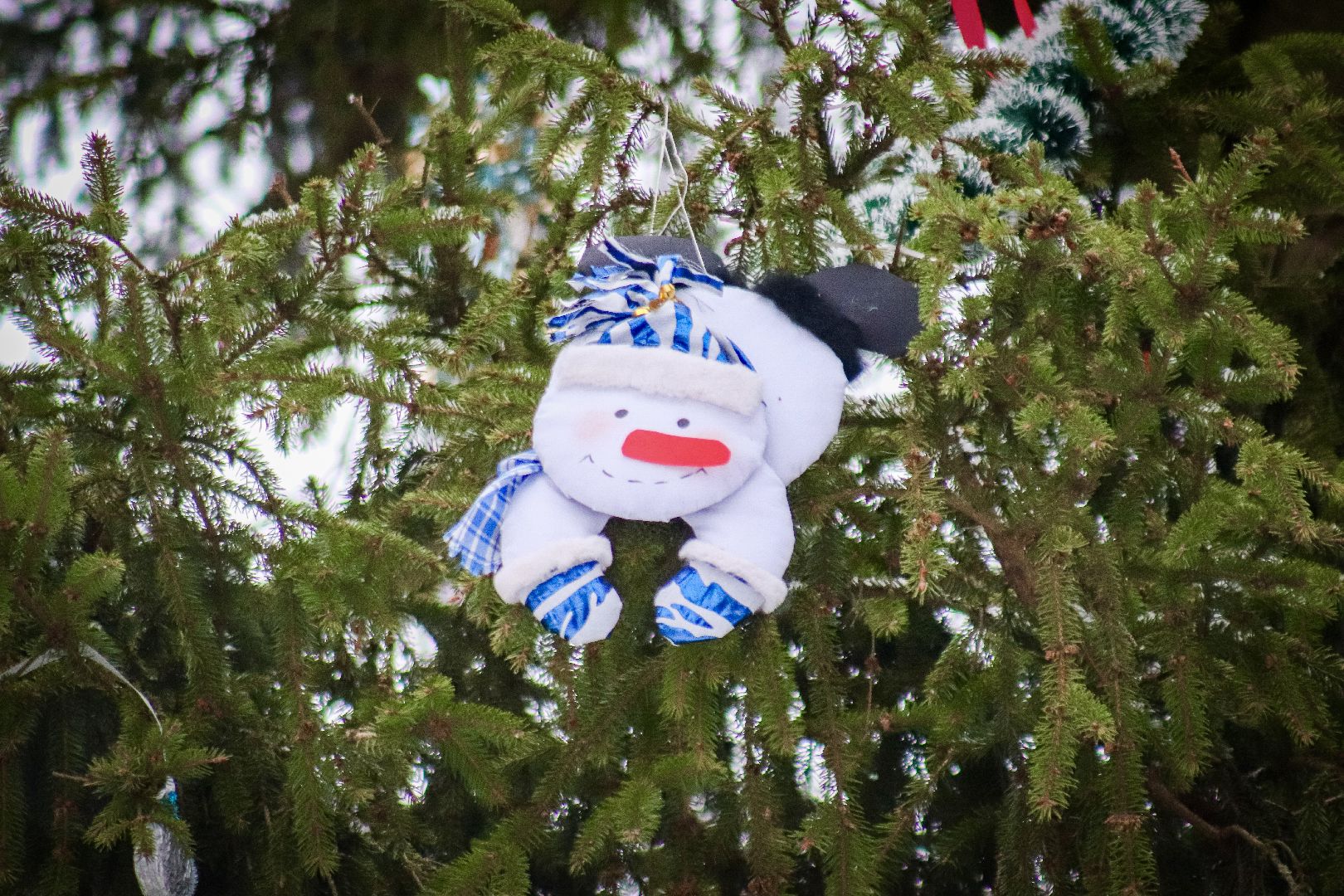 Клин, общество, образование, зима в подмосковье, вертикалки,