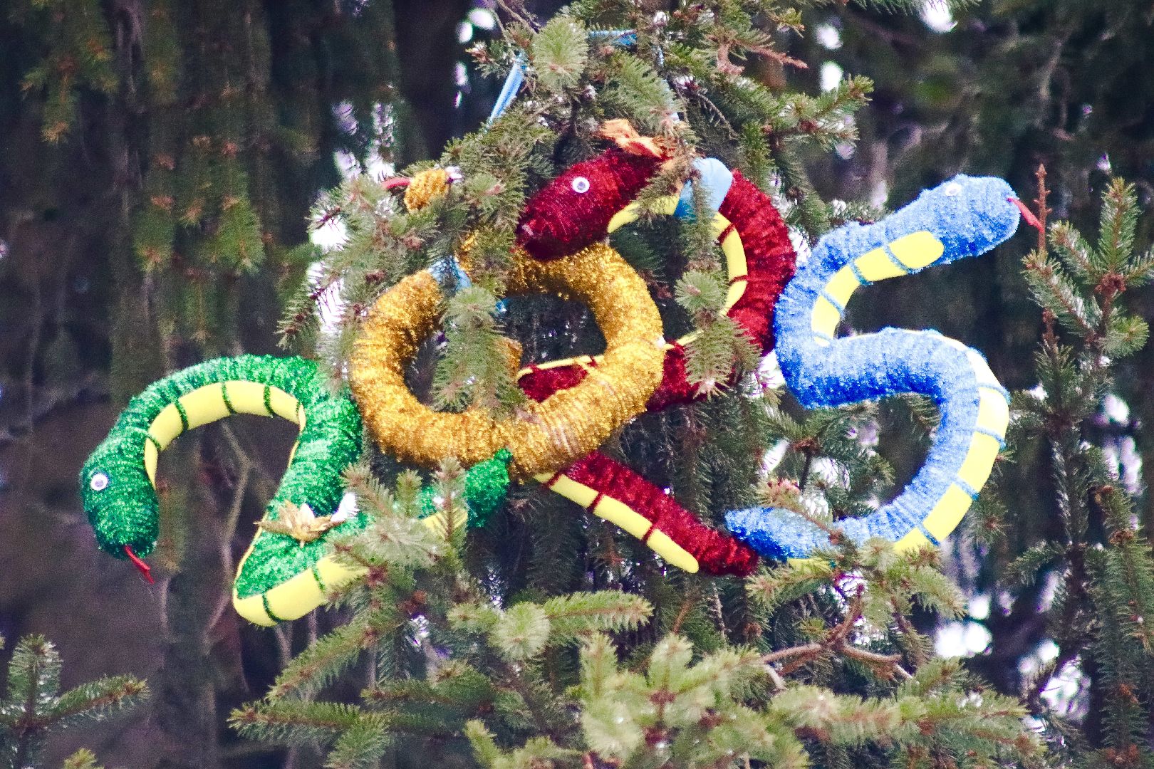 Клин, общество, образование, зима в подмосковье, вертикалки,