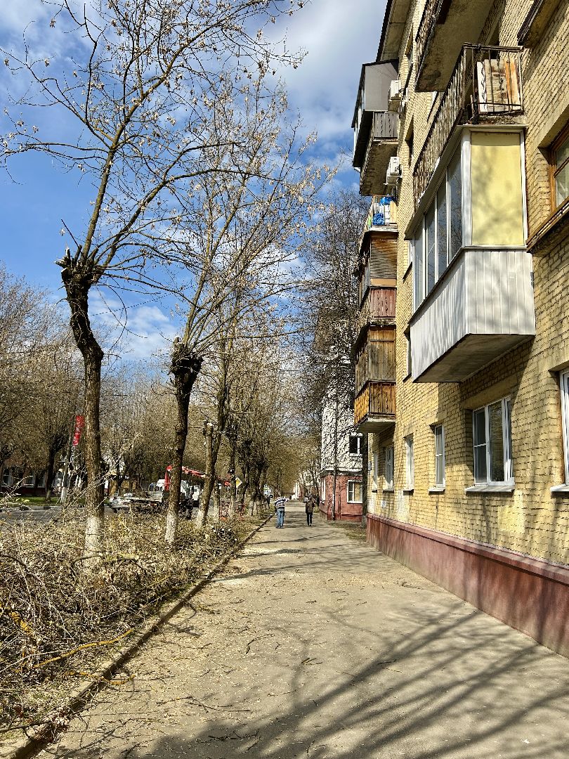 Благоустройство, Фрязино, сухостой, опиловка