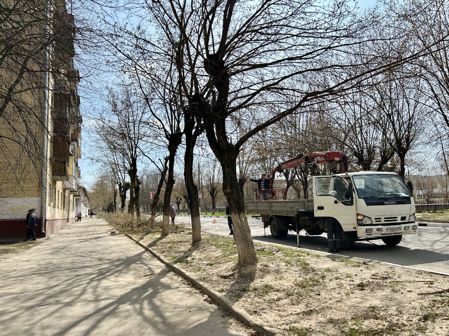 Благоустройство, Фрязино, сухостой, опиловка