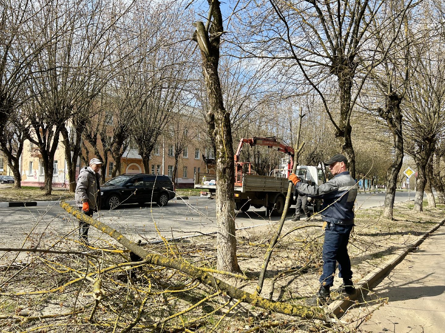 Благоустройство, Фрязино, сухостой, опиловка