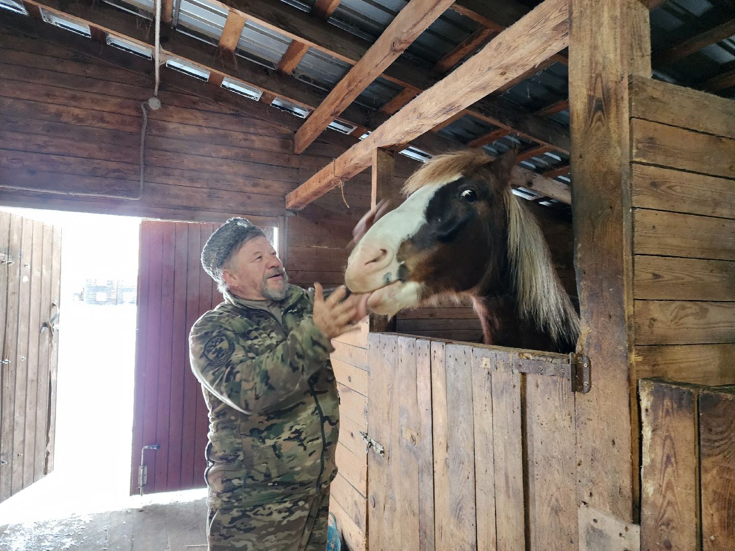 ногинск, богородский округ, сыроварня, ферма, производство сыра, общество, жители, вертикалки,
