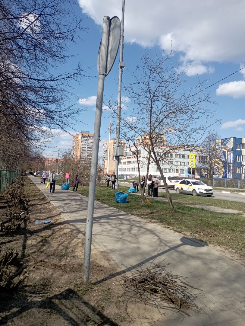 школа, субботник, благоустройство, Дубна