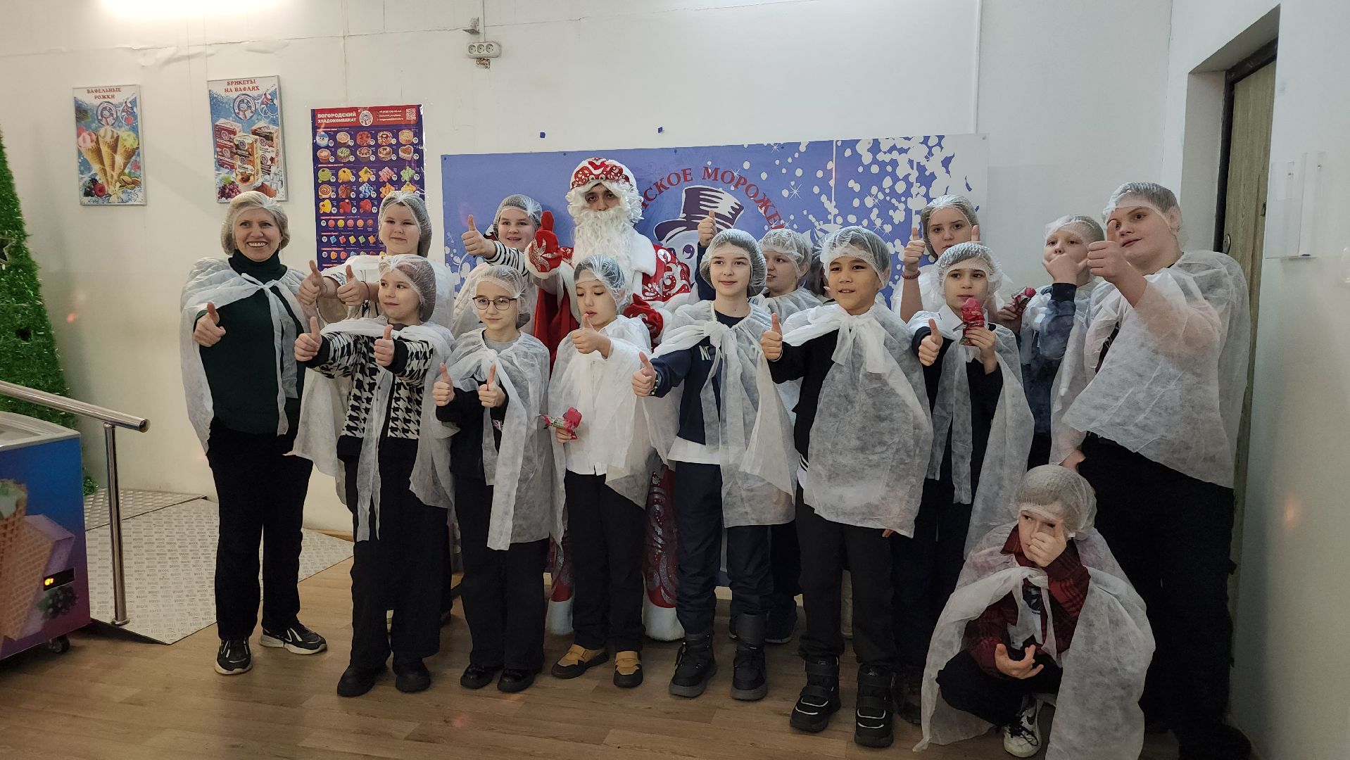 Богородский хладокомбинат, ногинское мороженое, фабрика мороженого, Ногинск, Богородский городской округ, вертикалки