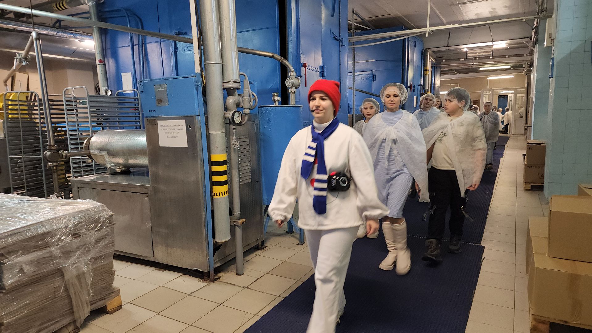 Богородский хладокомбинат, ногинское мороженое, фабрика мороженого, Ногинск, Богородский городской округ, вертикалки