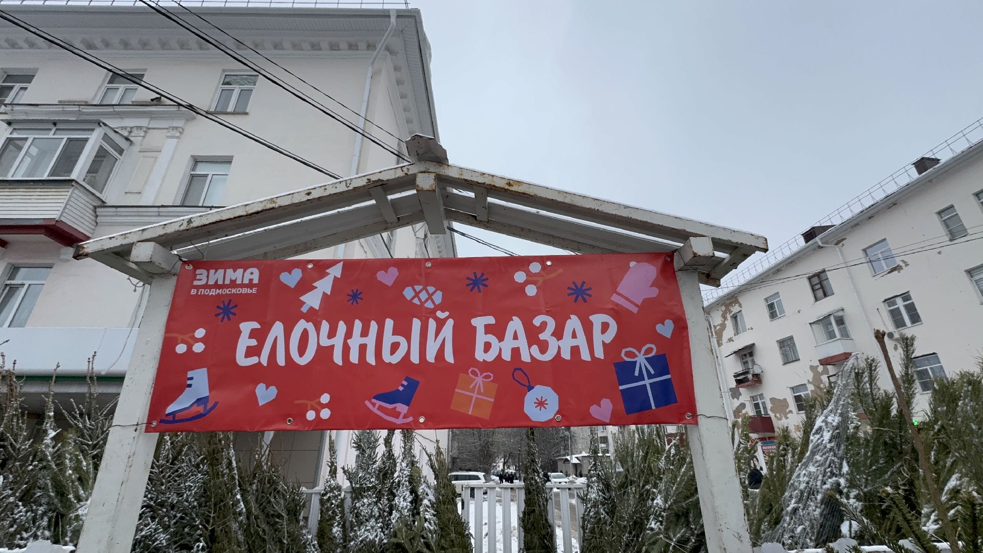 Солнечногорск, Елки, елочный базар, жители, вертикалки,