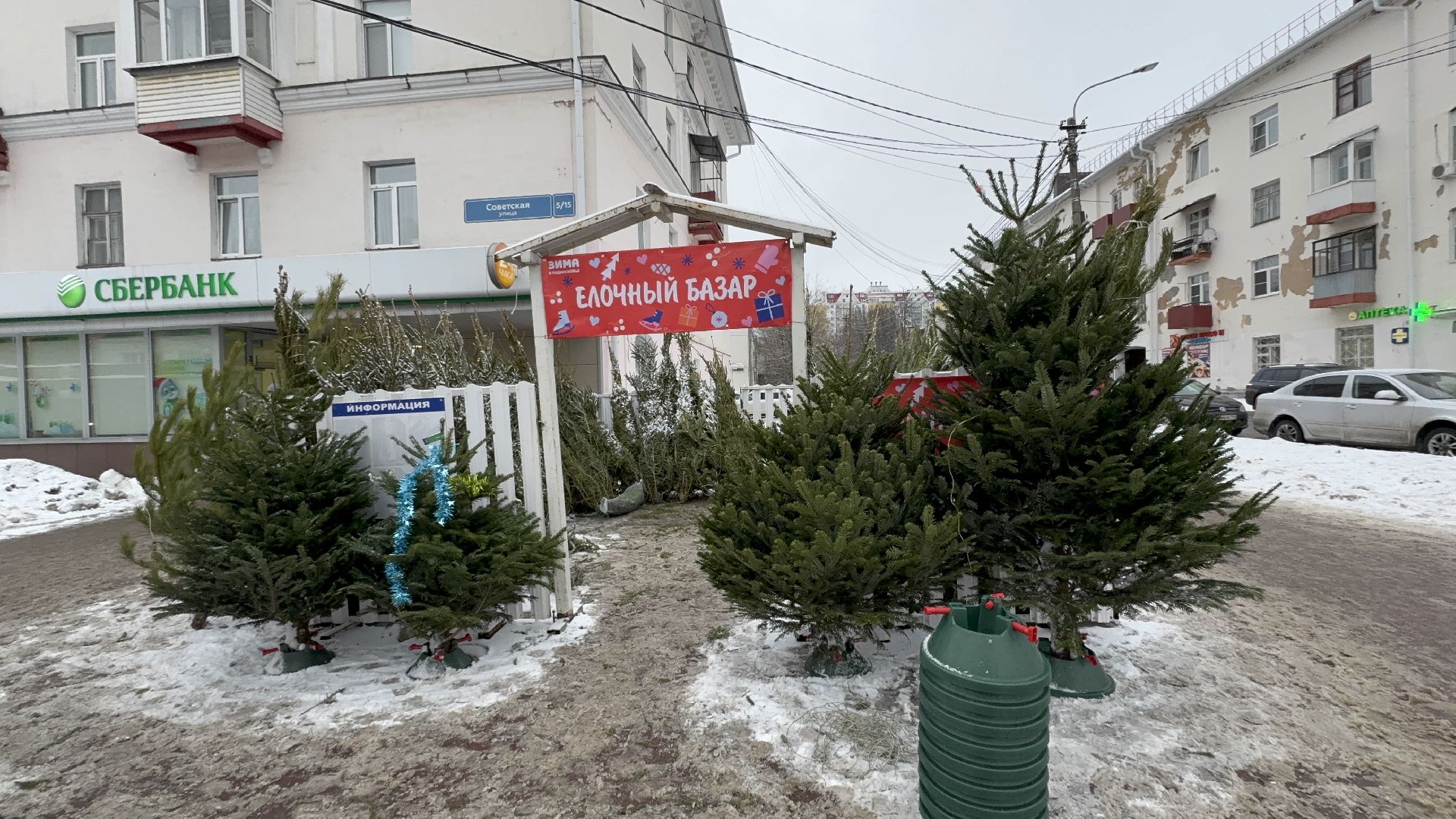 Солнечногорск, Елки, елочный базар, жители, вертикалки,