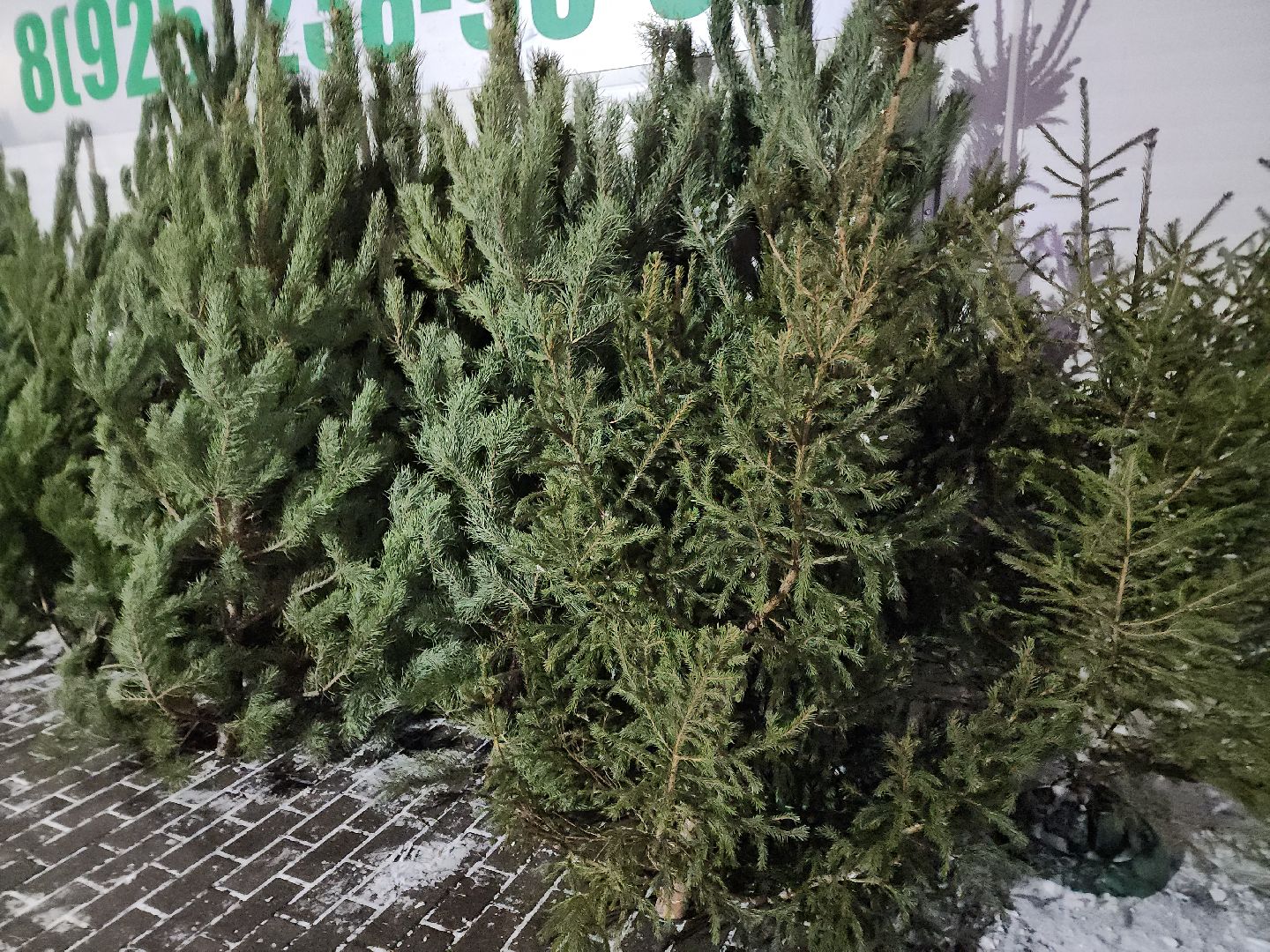 Подольск, Новый год, Елочный базар, Новогодняя елка,