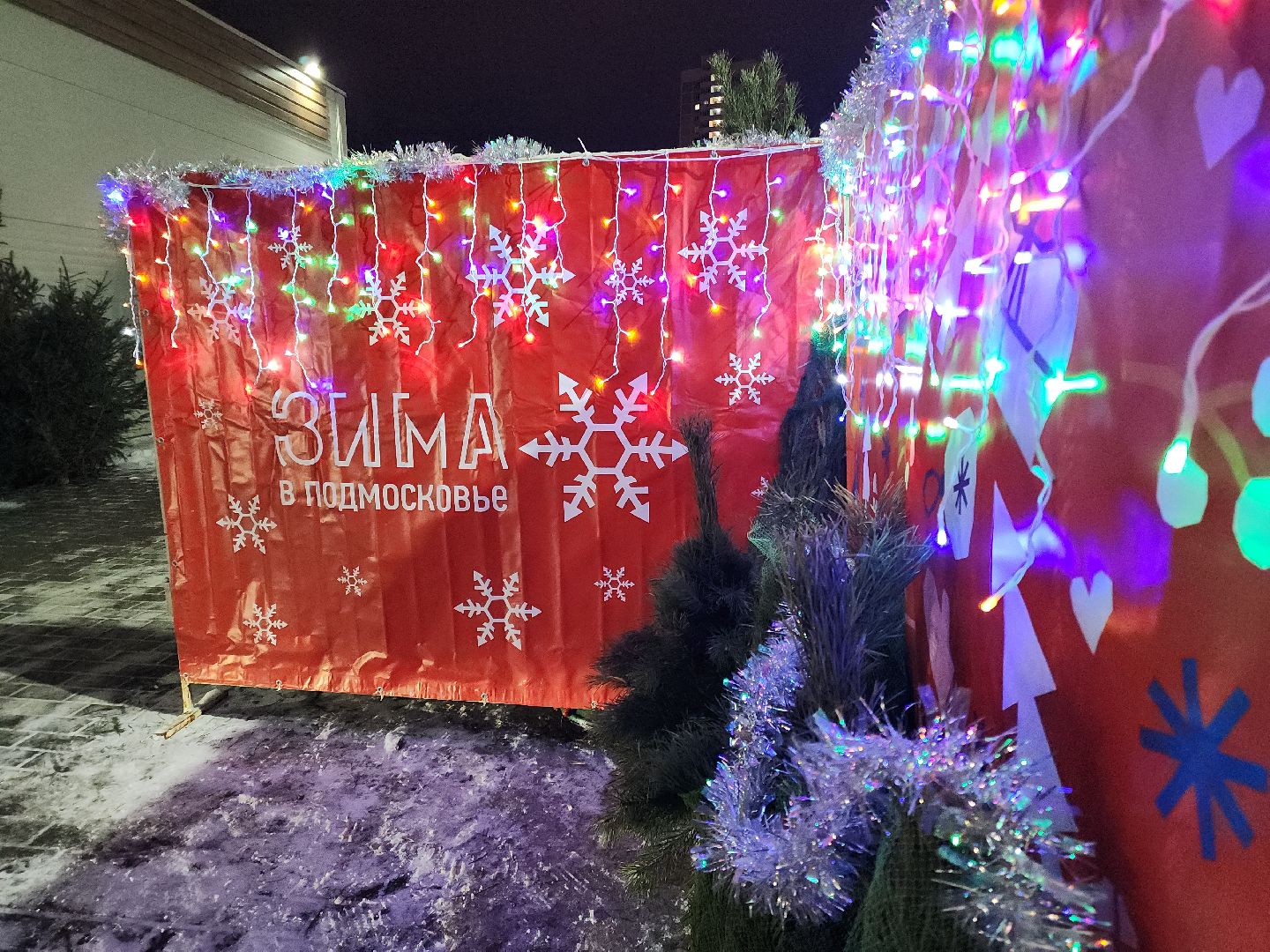 Подольск, Новый год, Елочный базар, Новогодняя елка,