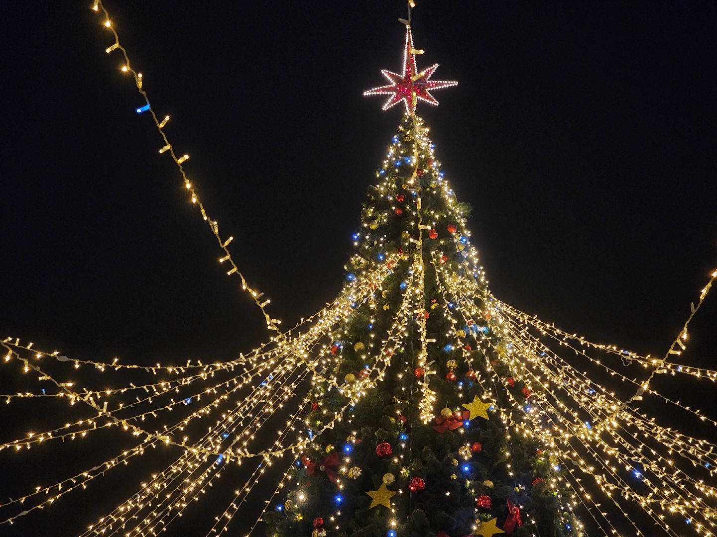 Коломна, зима в подмосковье, новогодняя елка, новогоднее украшение, вертикалки,