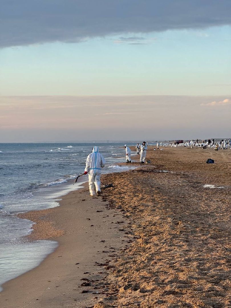 эксклюзив, экология, ЧП, общество, волонтеры подмосковья, очистка пляжей Анапы, Борьба с мазутом,
