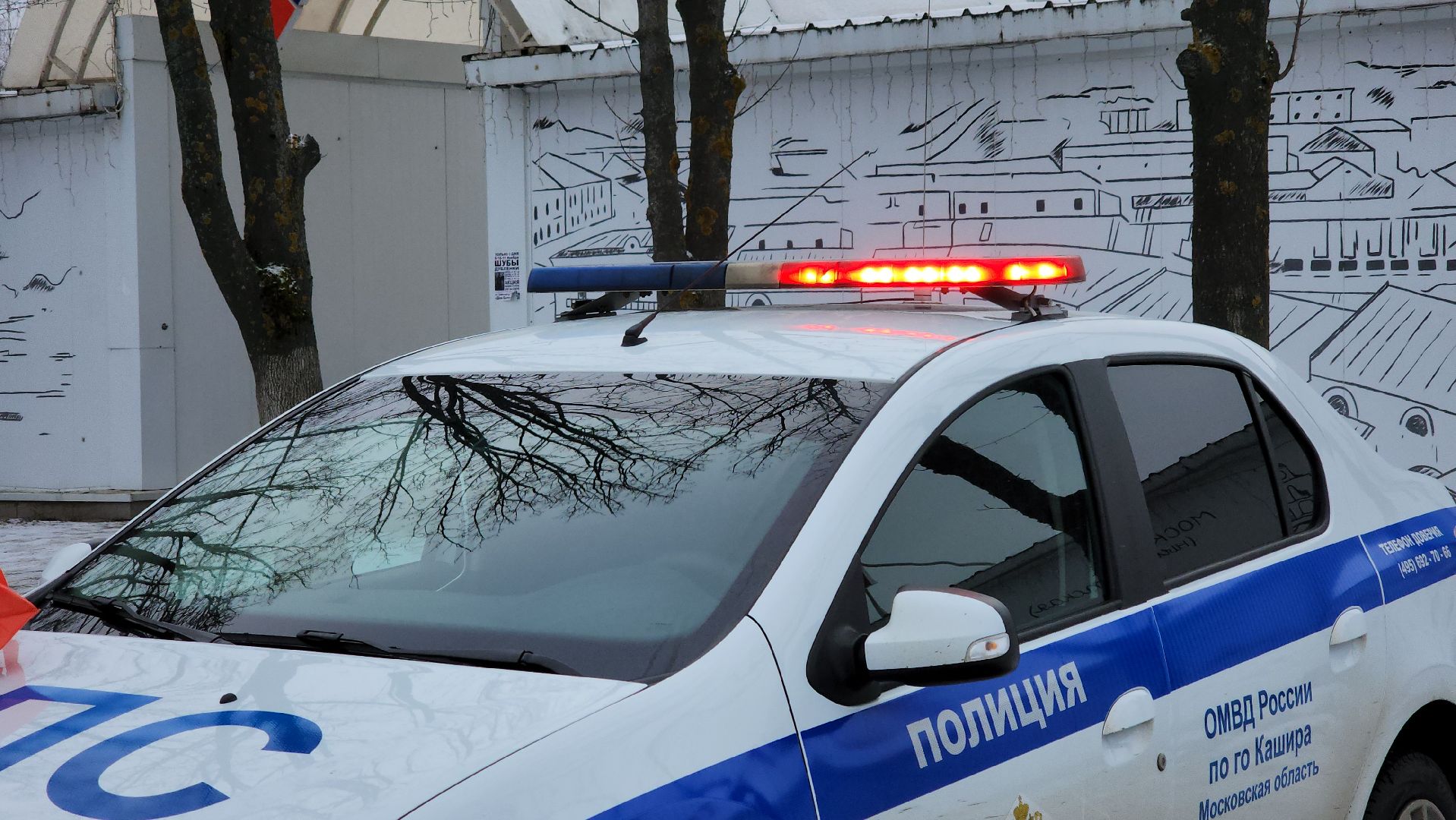 кашира, юид, госавтоинспекция, новогодняя акция, вертикалки,