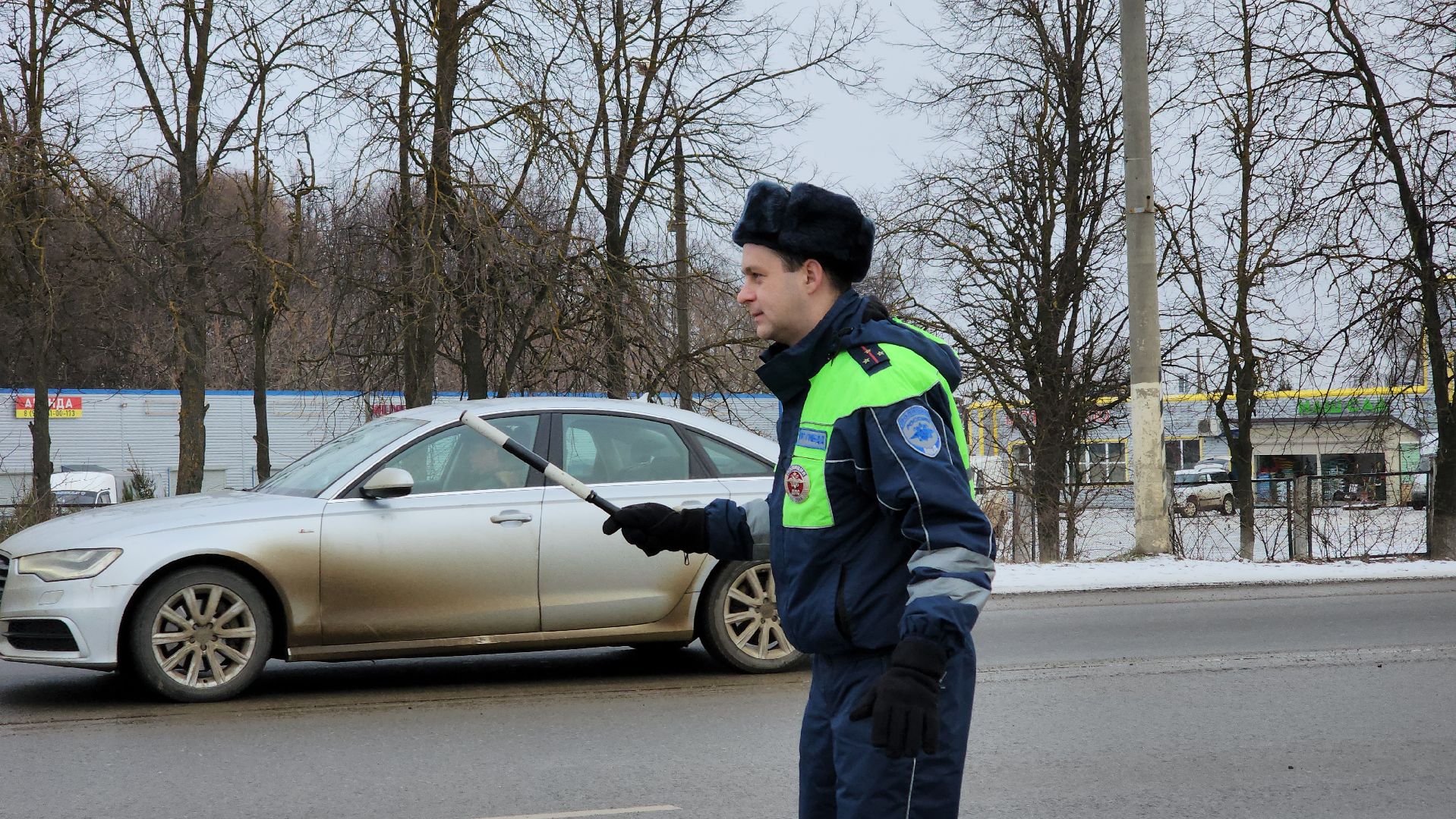 кашира, юид, госавтоинспекция, новогодняя акция, вертикалки,