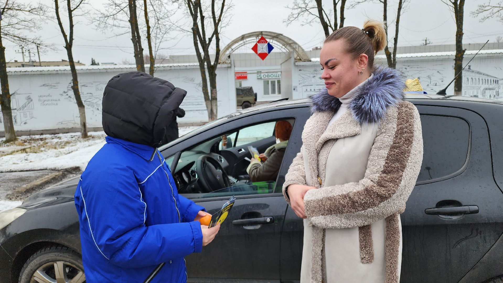 кашира, юид, госавтоинспекция, новогодняя акция, вертикалки,