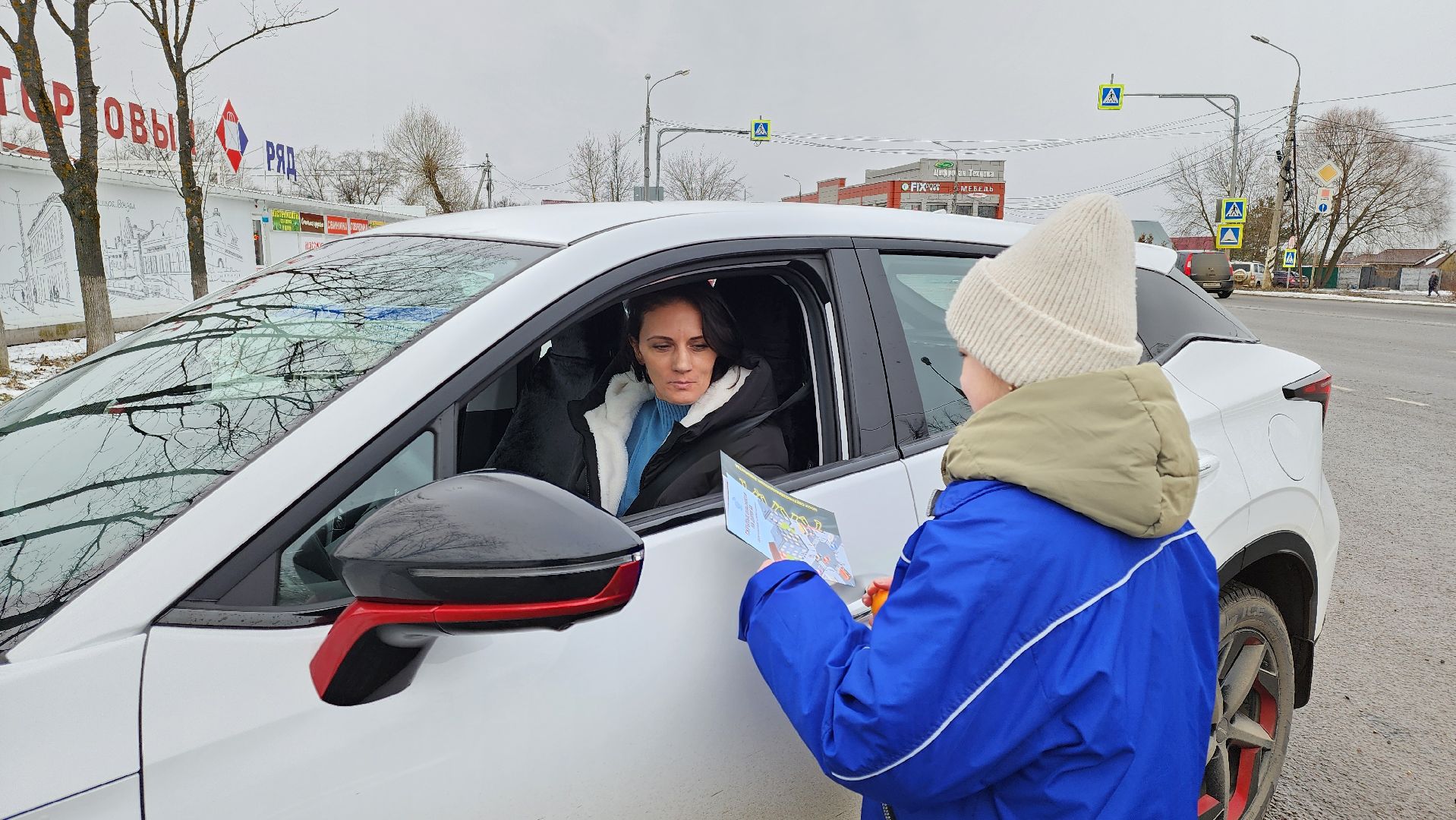 кашира, юид, госавтоинспекция, новогодняя акция, вертикалки,