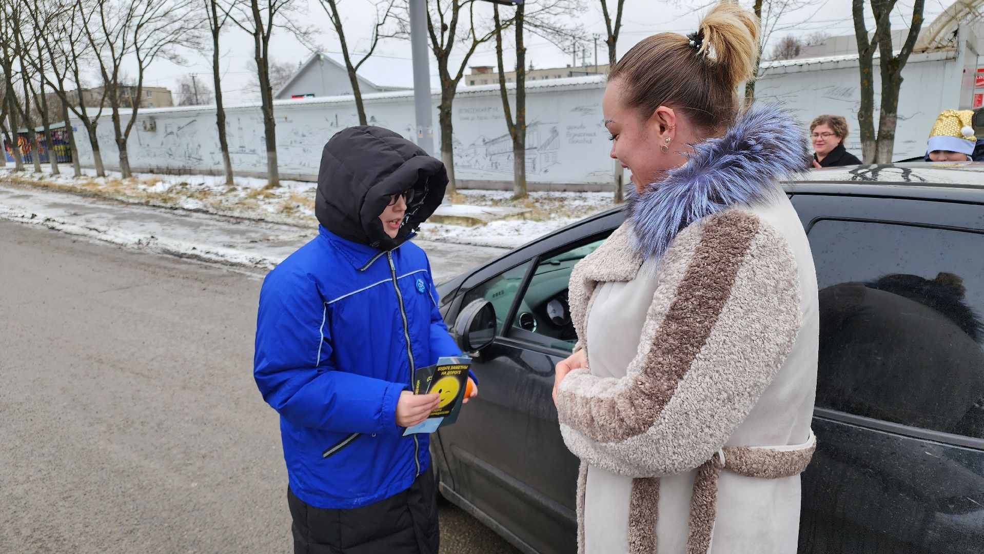 кашира, юид, госавтоинспекция, новогодняя акция, вертикалки,