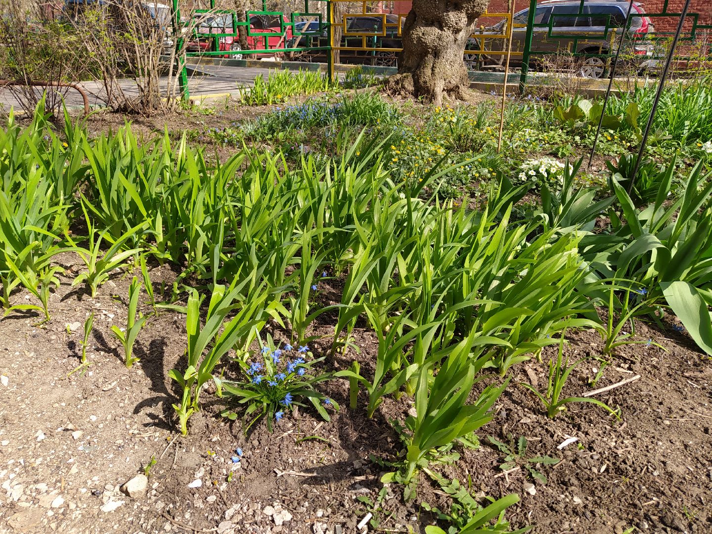 Благоустройство, уборка, месячник, листва