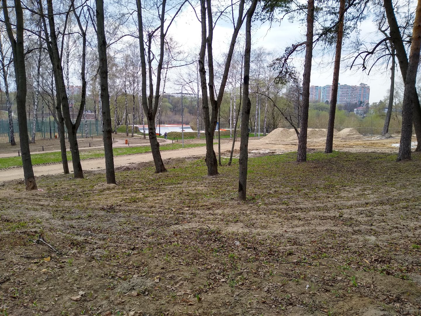 Раменское, благоустройство, скейт-парк