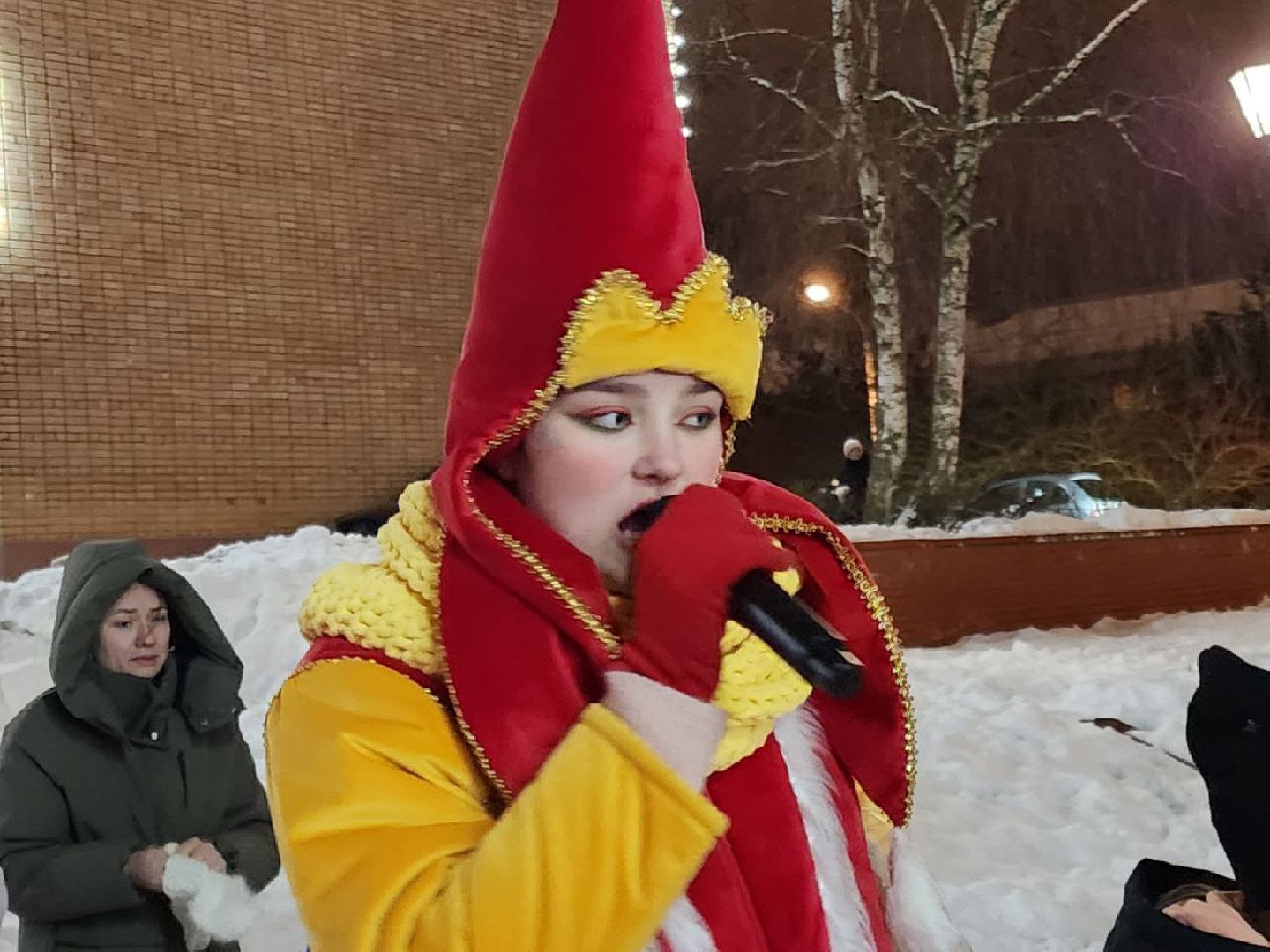 Солнечногорск, Праздник, Новый год, Дети, Жители, Вертикалки,