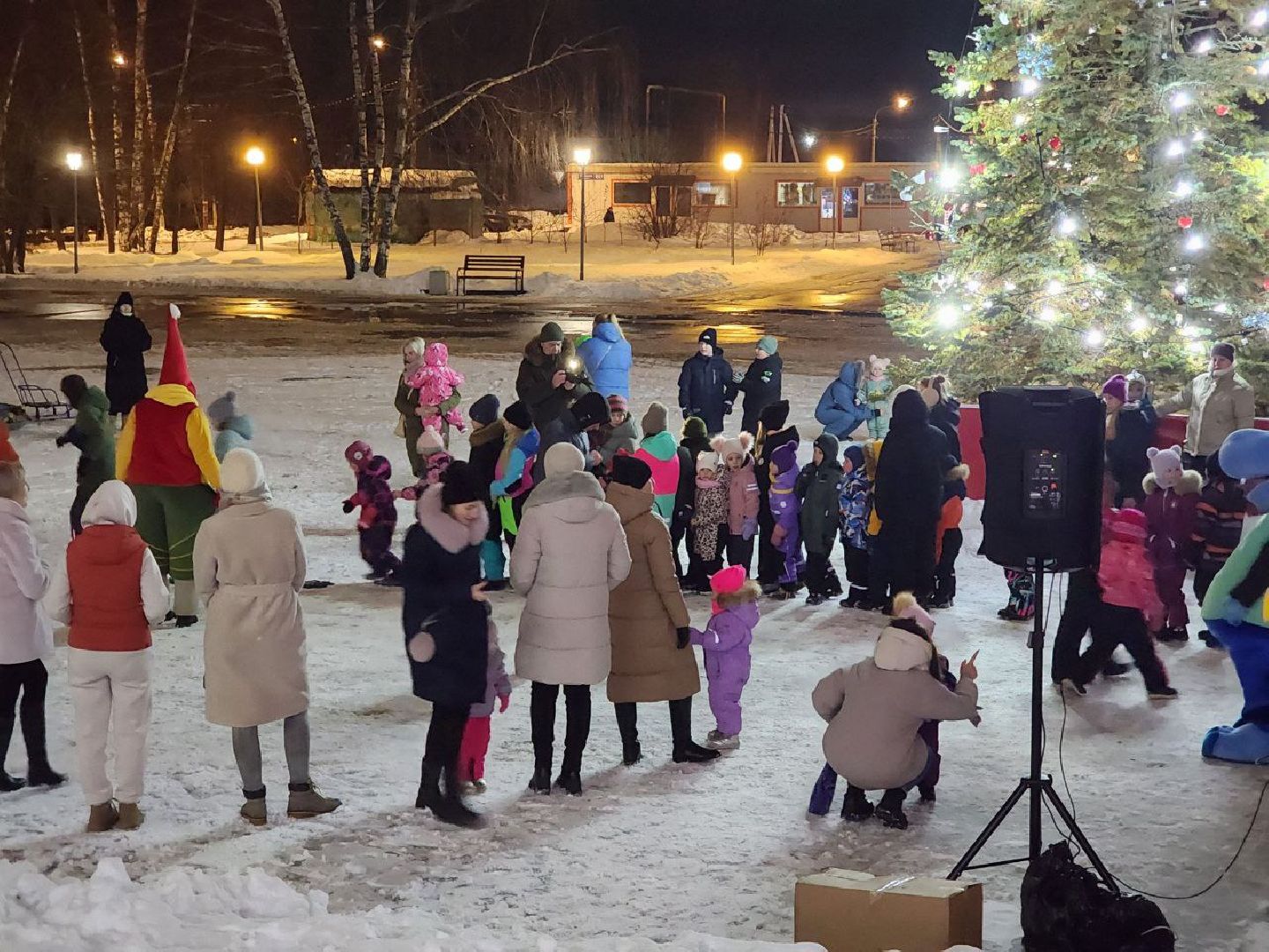 Солнечногорск, Праздник, Новый год, Дети, Жители, Вертикалки,