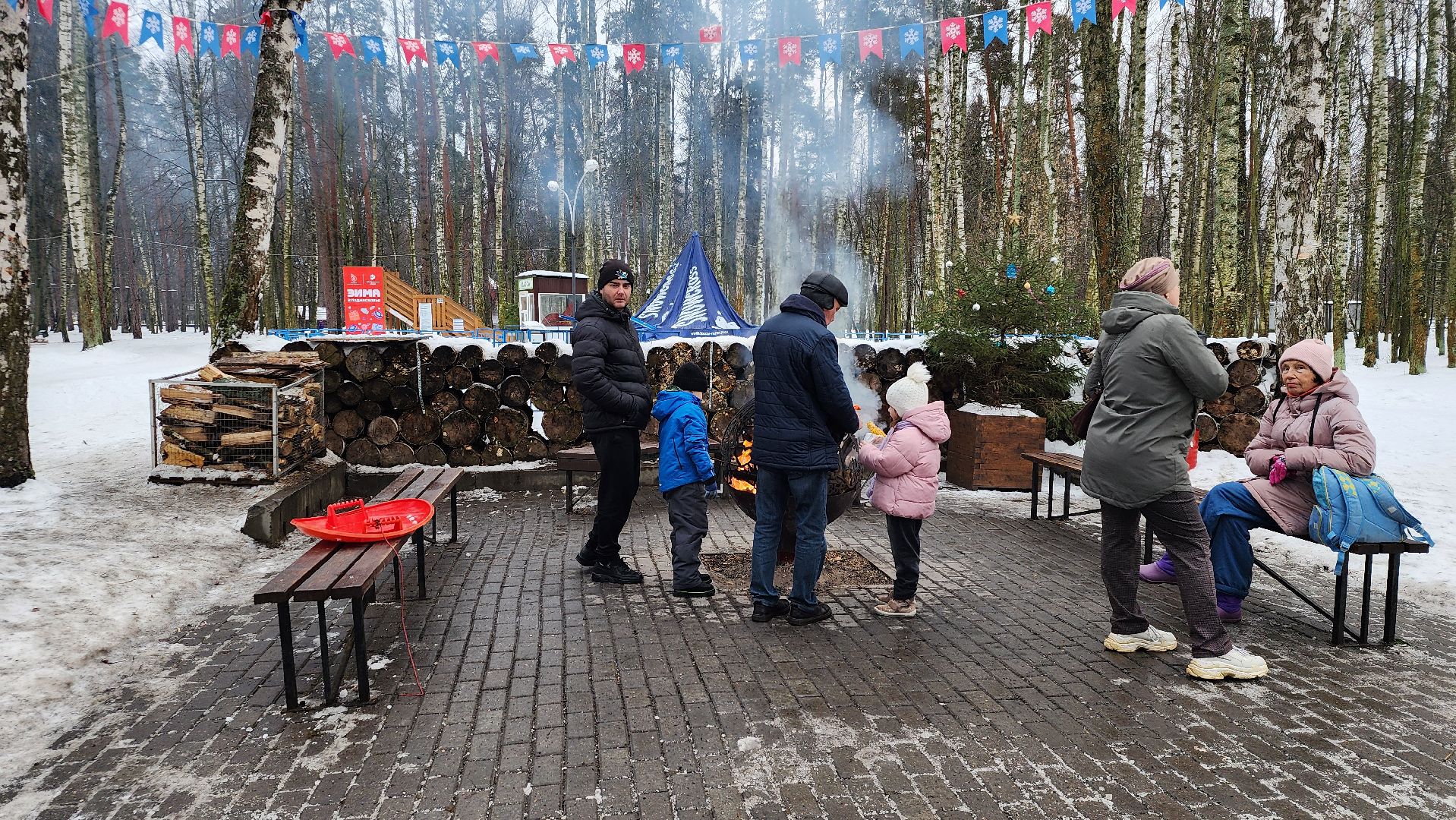 парки Богородского округа, новогодние каникулы, Центральный парк, Ногинск, Богородский городской округ,