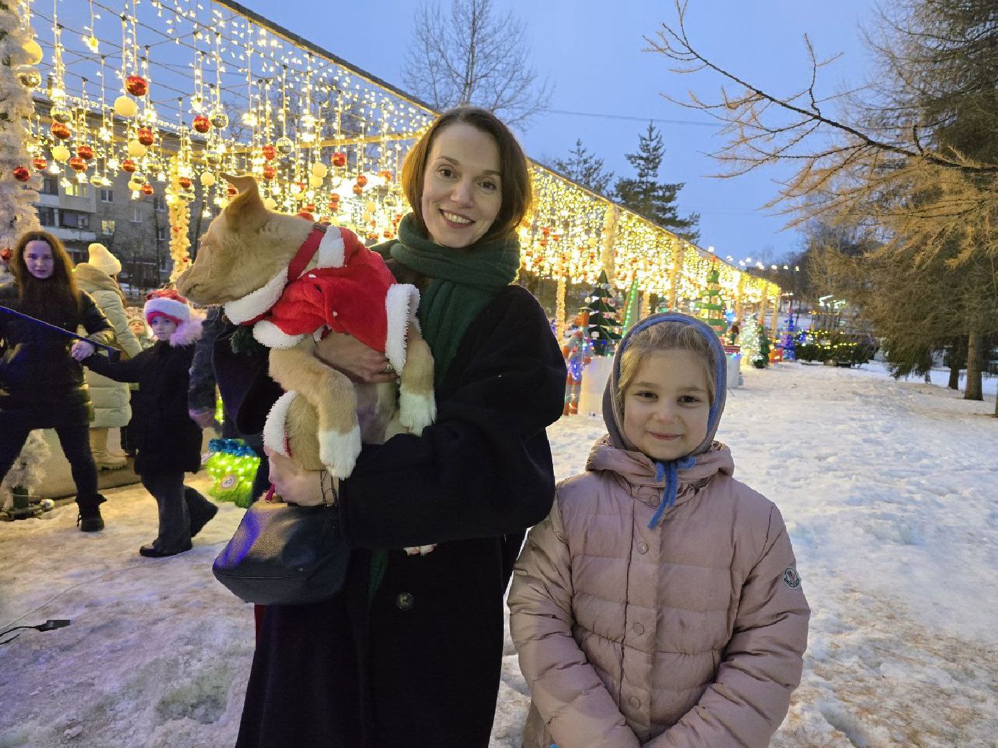 можайск, можайский городской округ, подмосковье, елка желаний, всероссийская акция, исполнение желаний, исполнение детских желаний, мечты, дети, новый год, новогодние праздники,