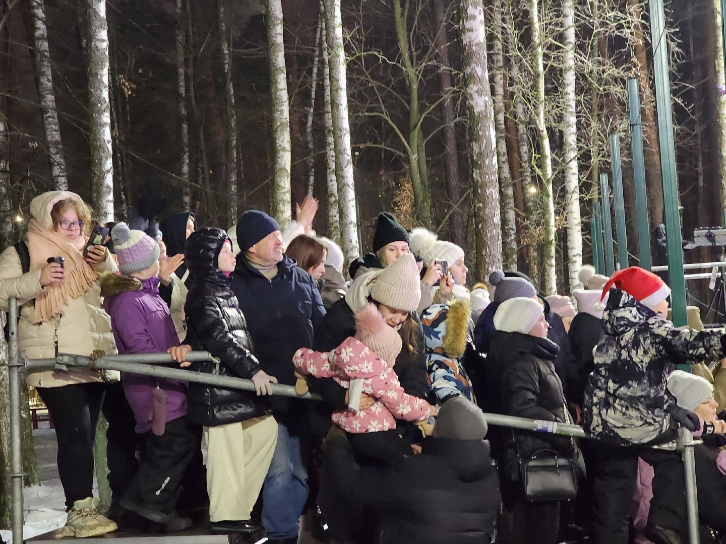 ледяное шоу, спектакль, фигуристы, фигурное катание, татьяна навка, ногонск, центральный парк, каток, жители, общество, вертикалки,