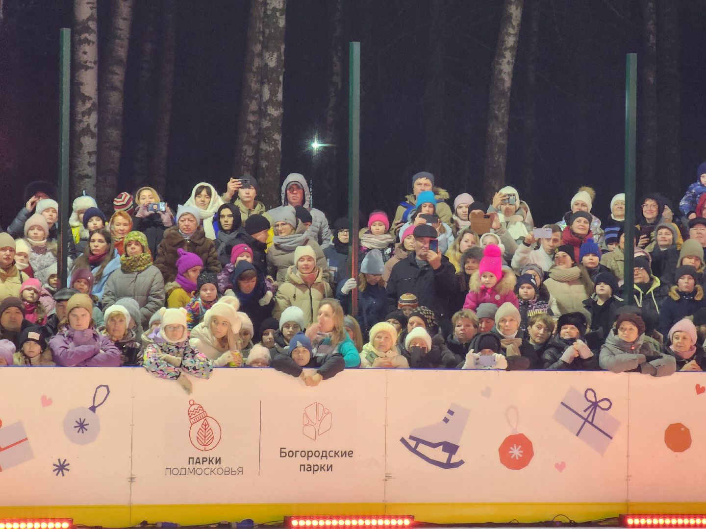 ледяное шоу, спектакль, фигуристы, фигурное катание, татьяна навка, ногонск, центральный парк, каток, жители, общество, вертикалки,