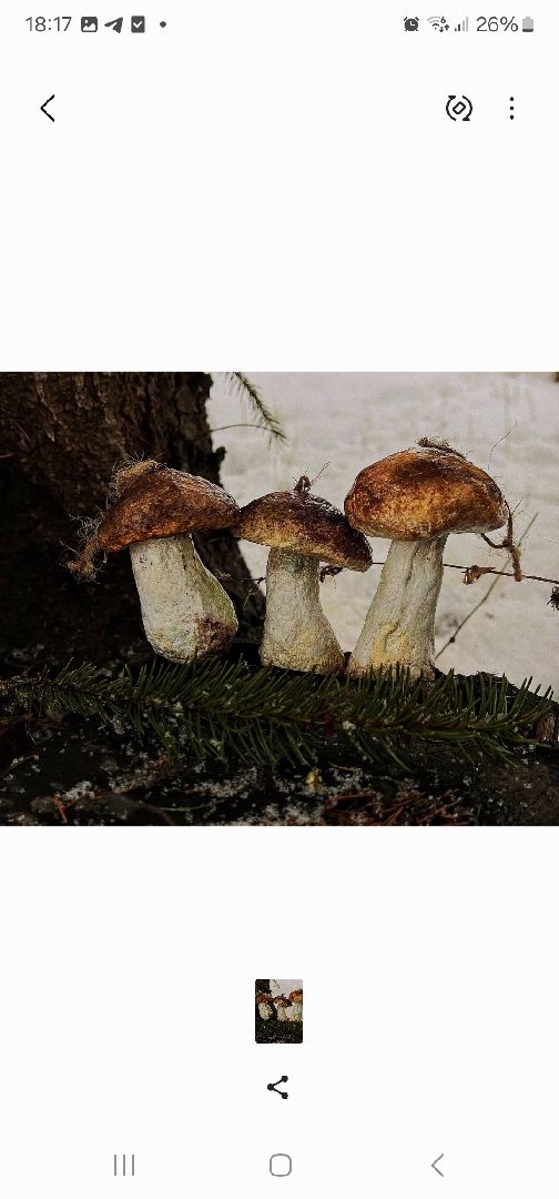 подольск, игрушки, мастерица,