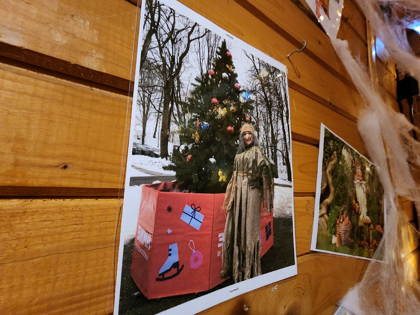 парки подмосковья, парк городок, руза, рузский городской округ, зима в парках, зима в подмосковье, зима в рузе,