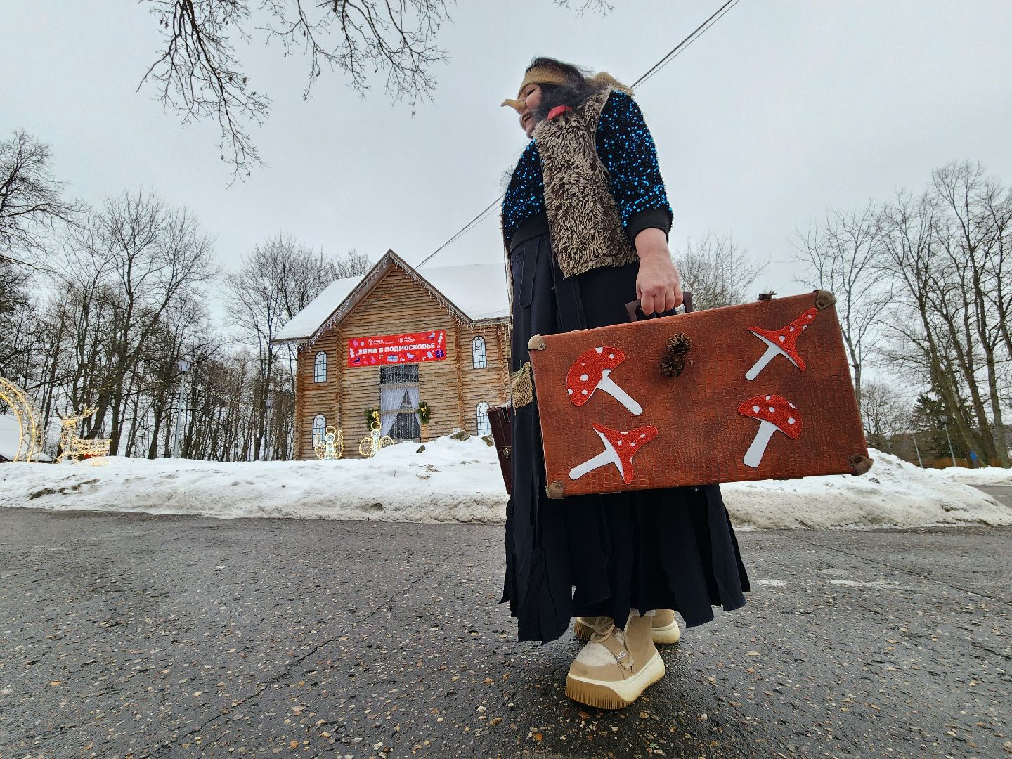 парки подмосковья, парк городок, руза, рузский городской округ, зима в парках, зима в подмосковье, зима в рузе,