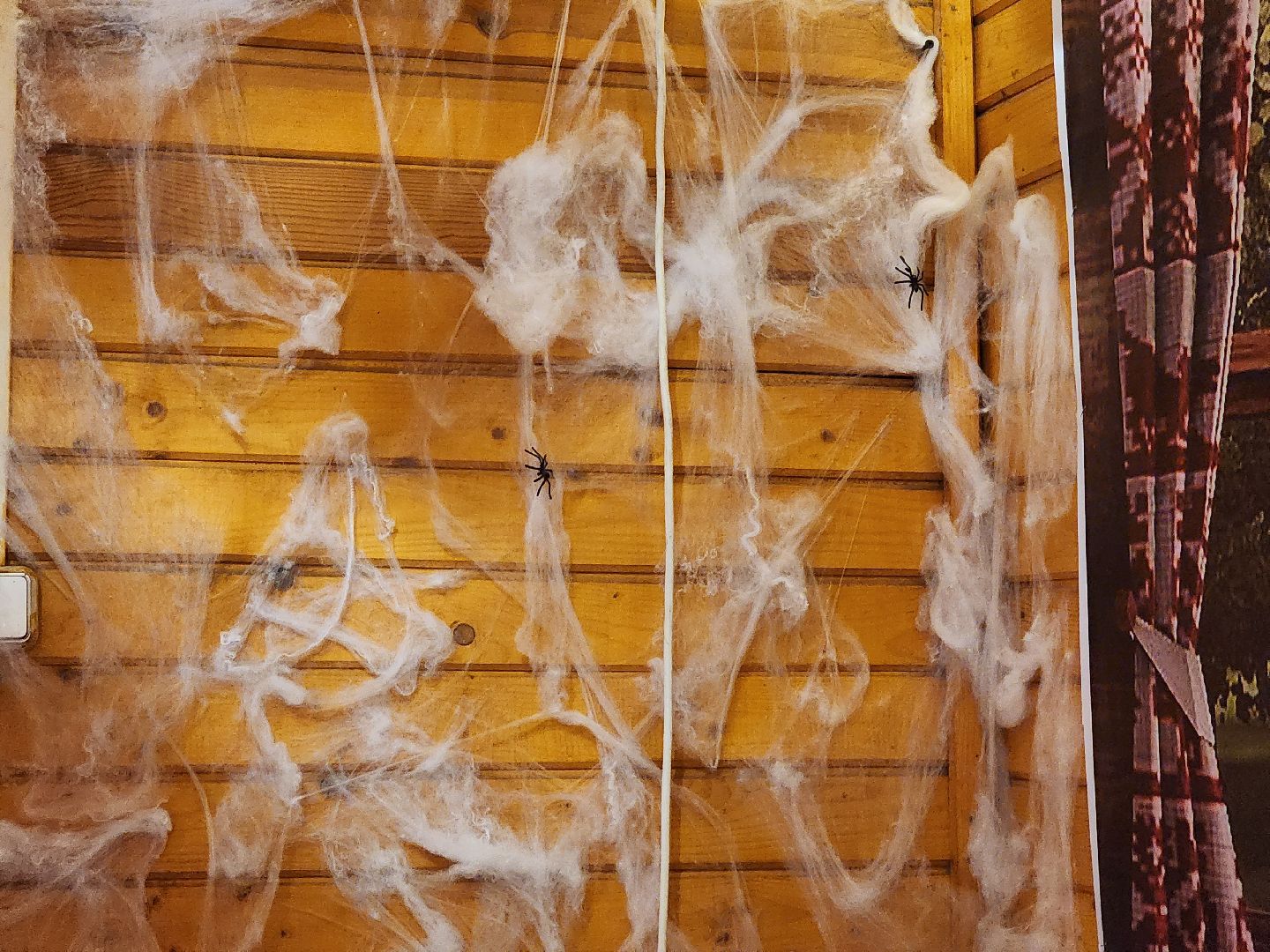 парки подмосковья, парк городок, руза, рузский городской округ, зима в парках, зима в подмосковье, зима в рузе,