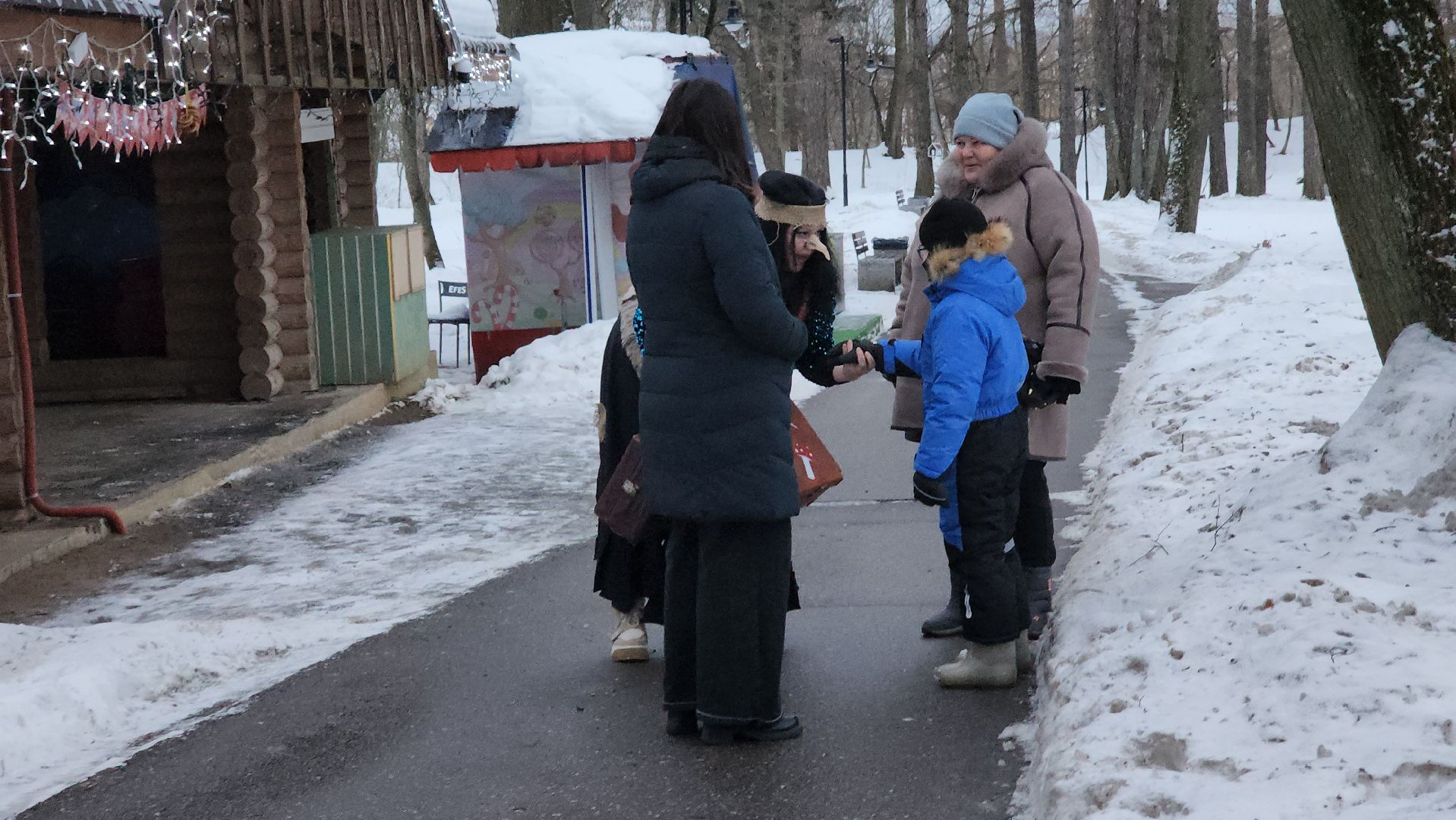парки подмосковья, парк городок, руза, рузский городской округ, зима в парках, зима в подмосковье, зима в рузе,