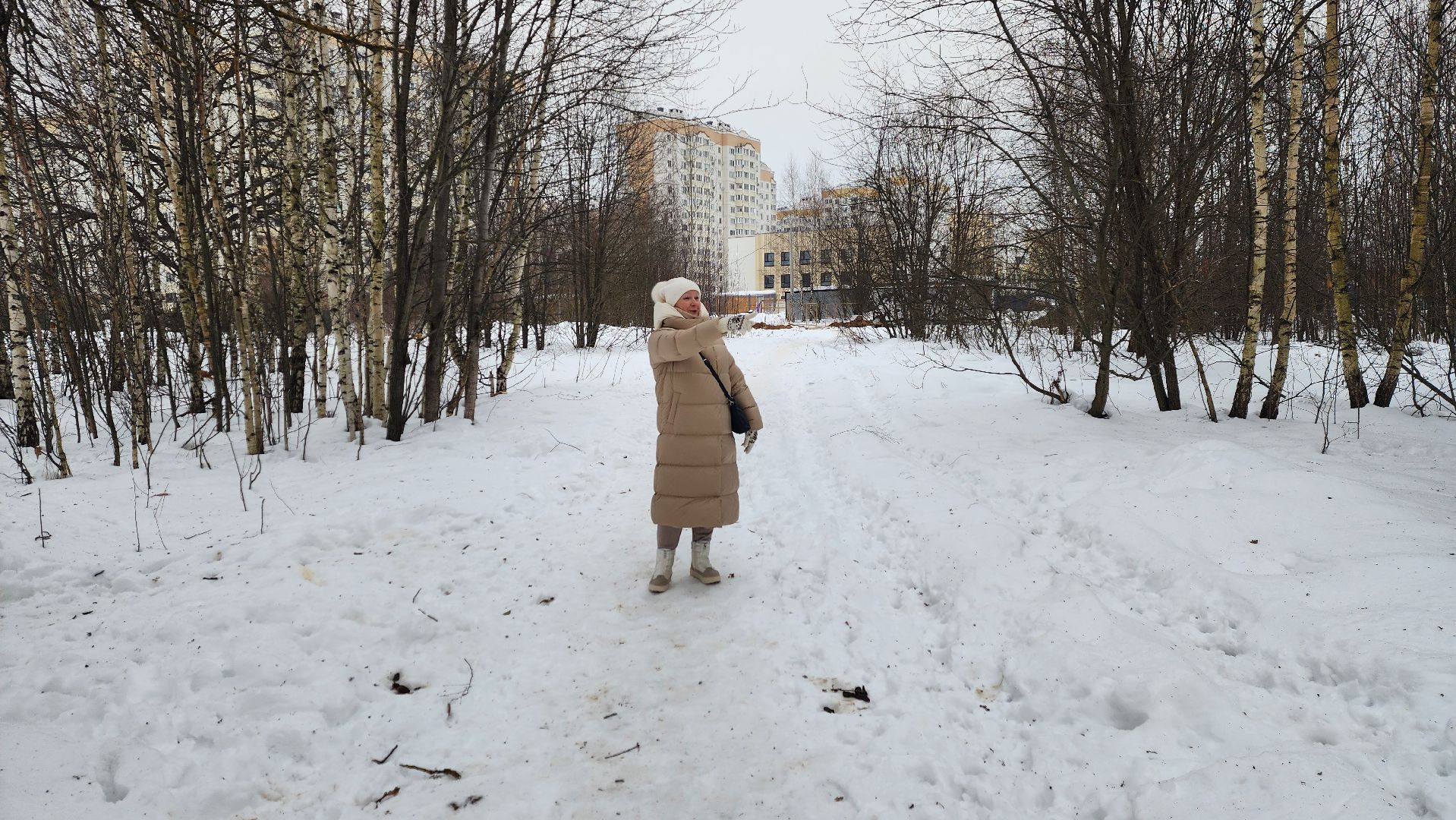 Солнечногорск, вертикалки, парк победы, белки,