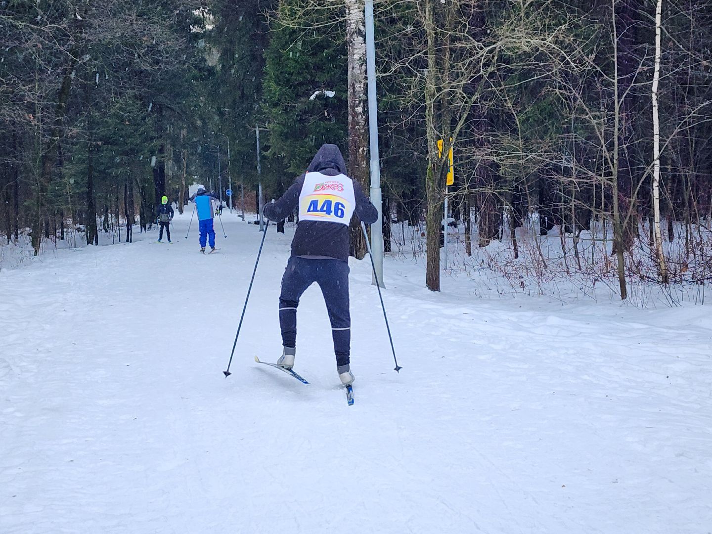 вертикалки, мытищи, лыжня,