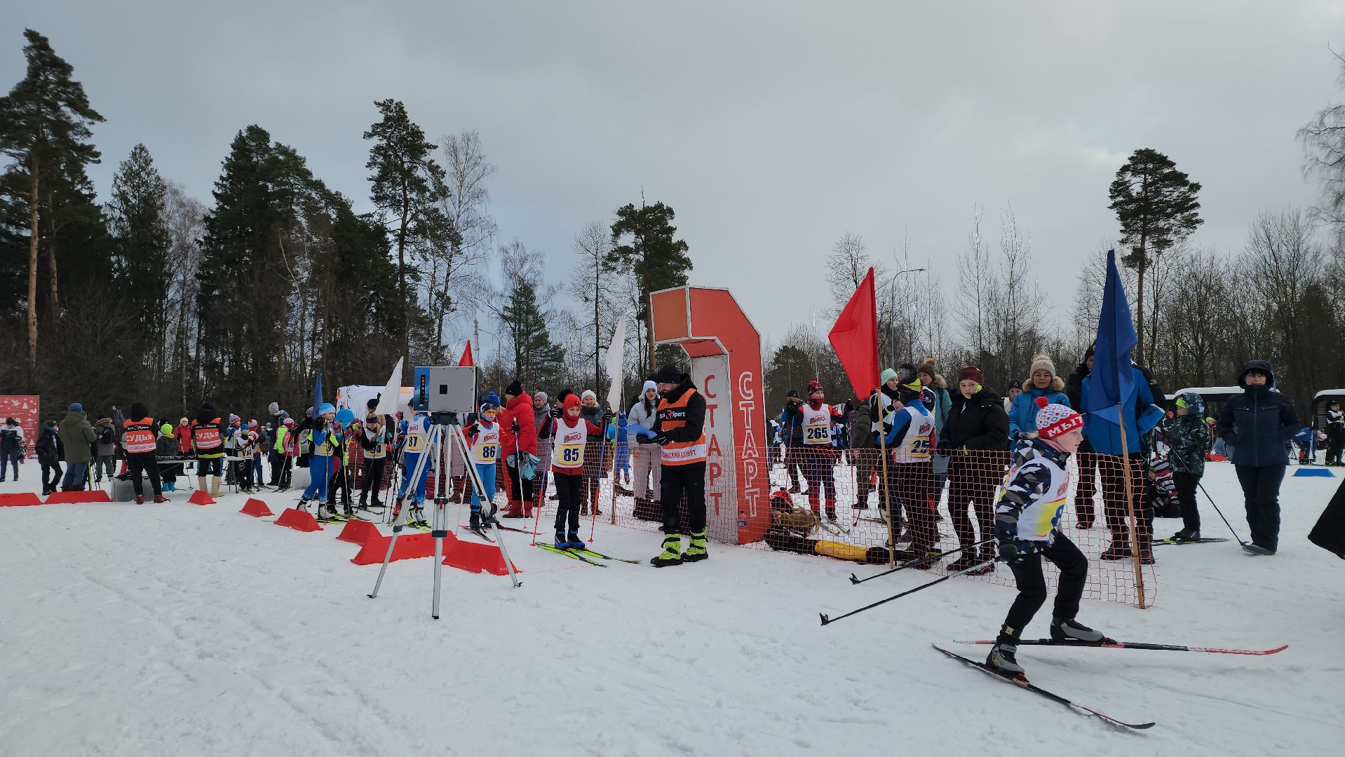 вертикалки, мытищи, лыжня,