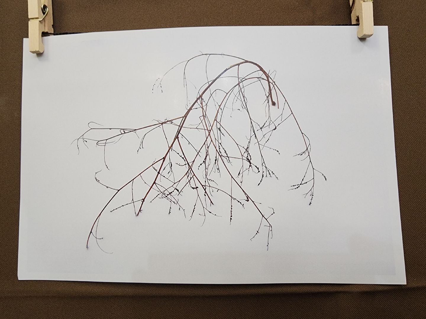 фрязино, центральная библиотека, художественная выставка, картины, художники,