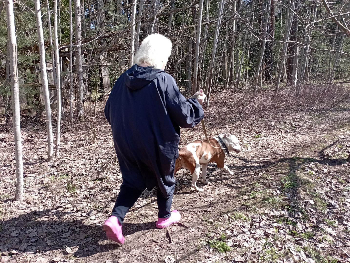 волонтерство помощь животным волонтер Дубна