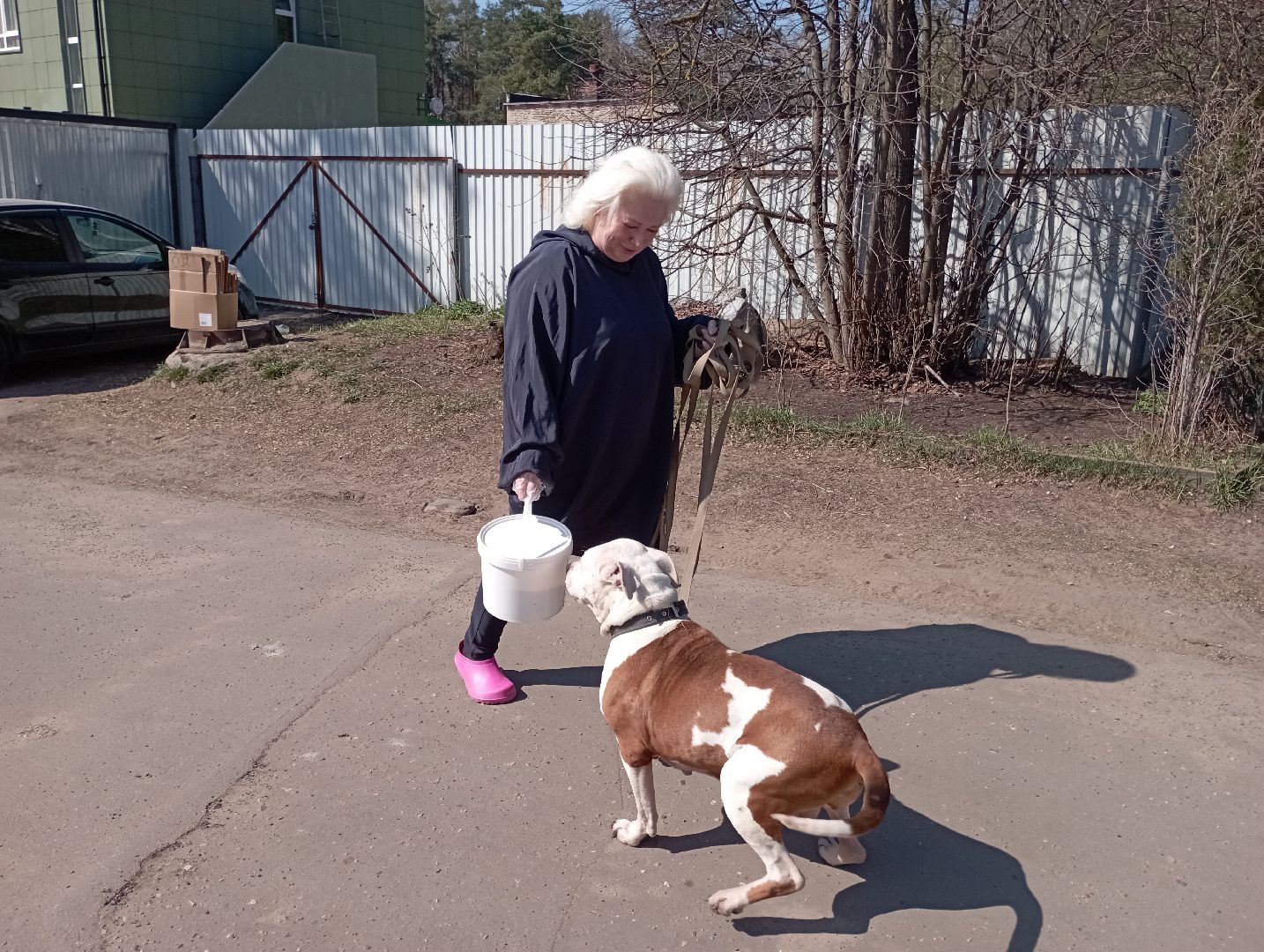 волонтерство помощь животным волонтер Дубна