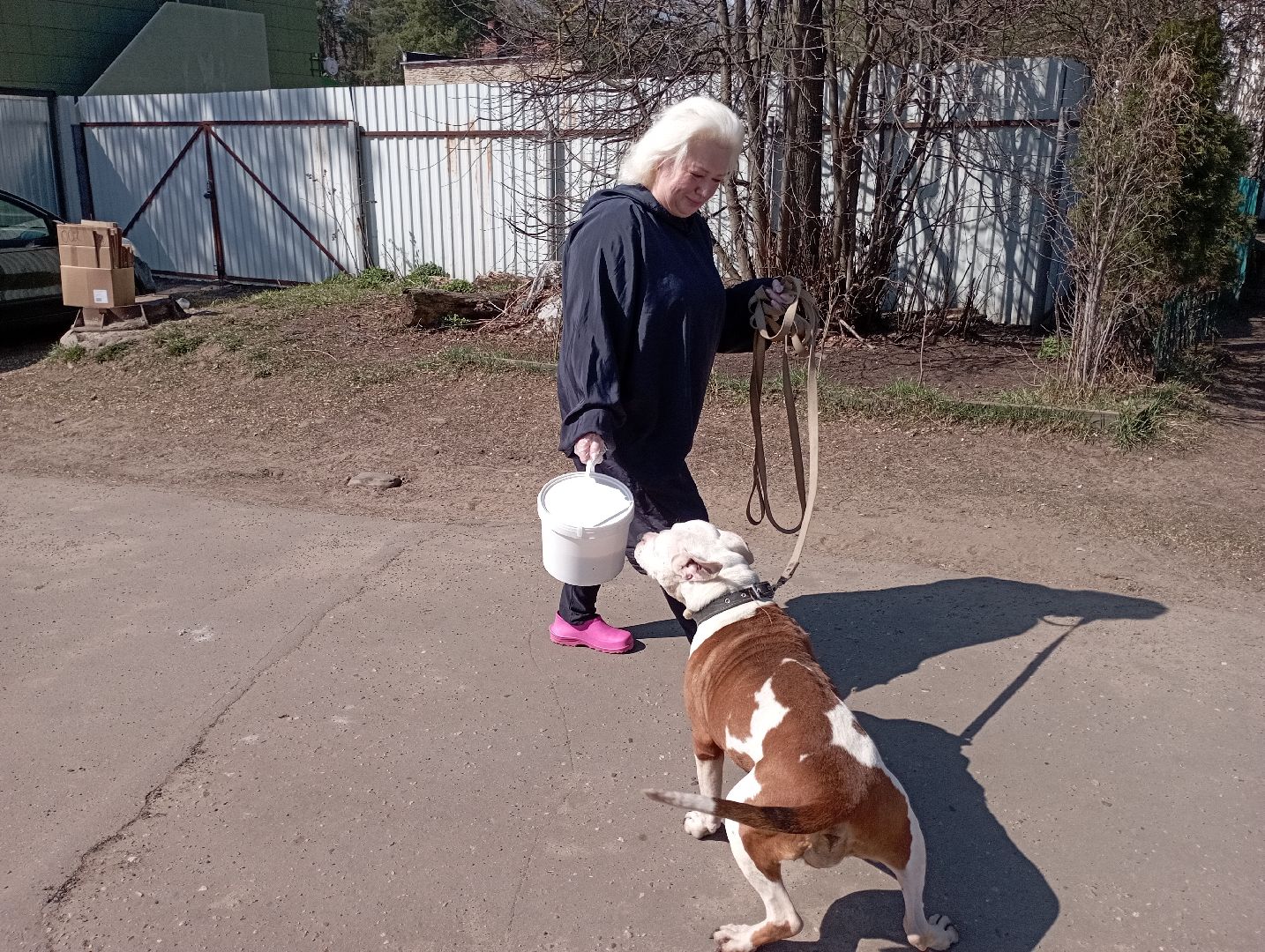 волонтерство помощь животным волонтер Дубна