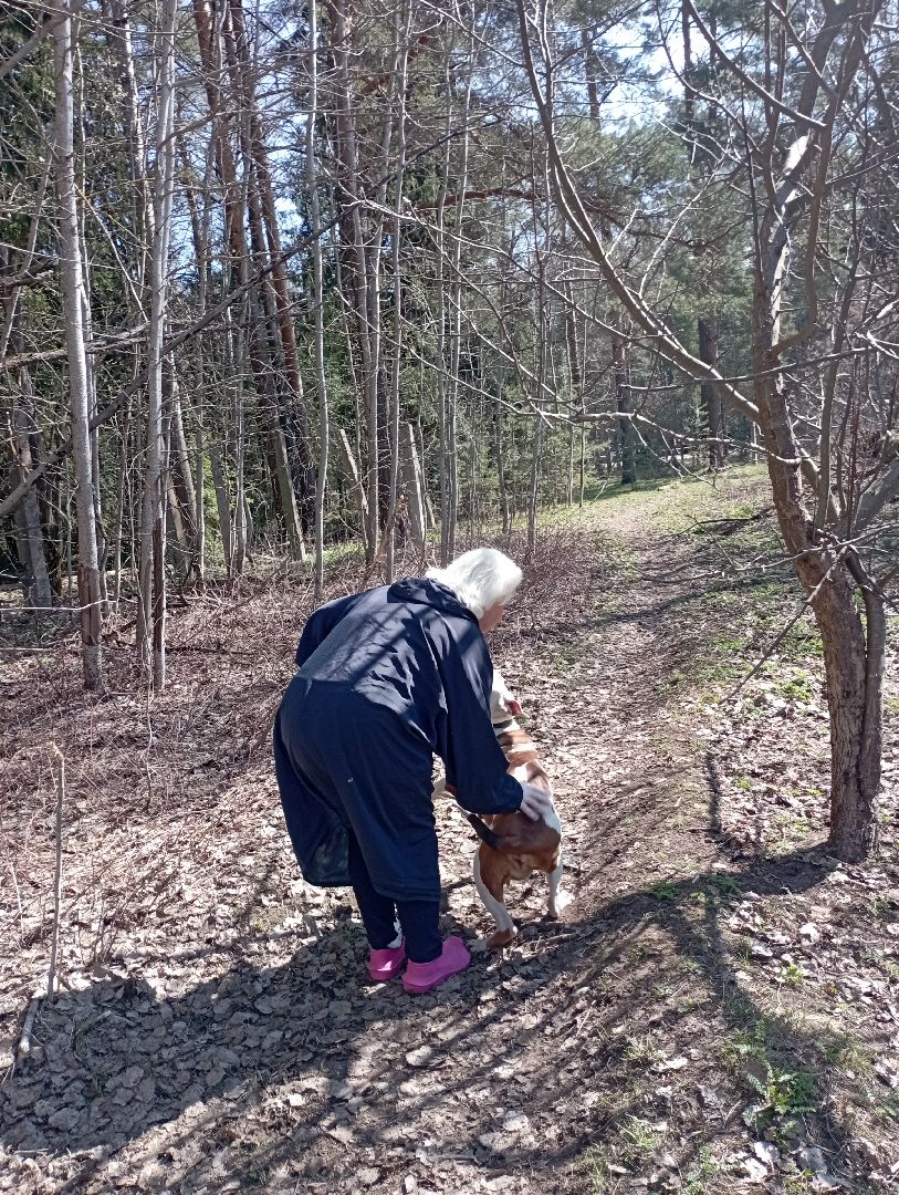волонтерство помощь животным волонтер Дубна