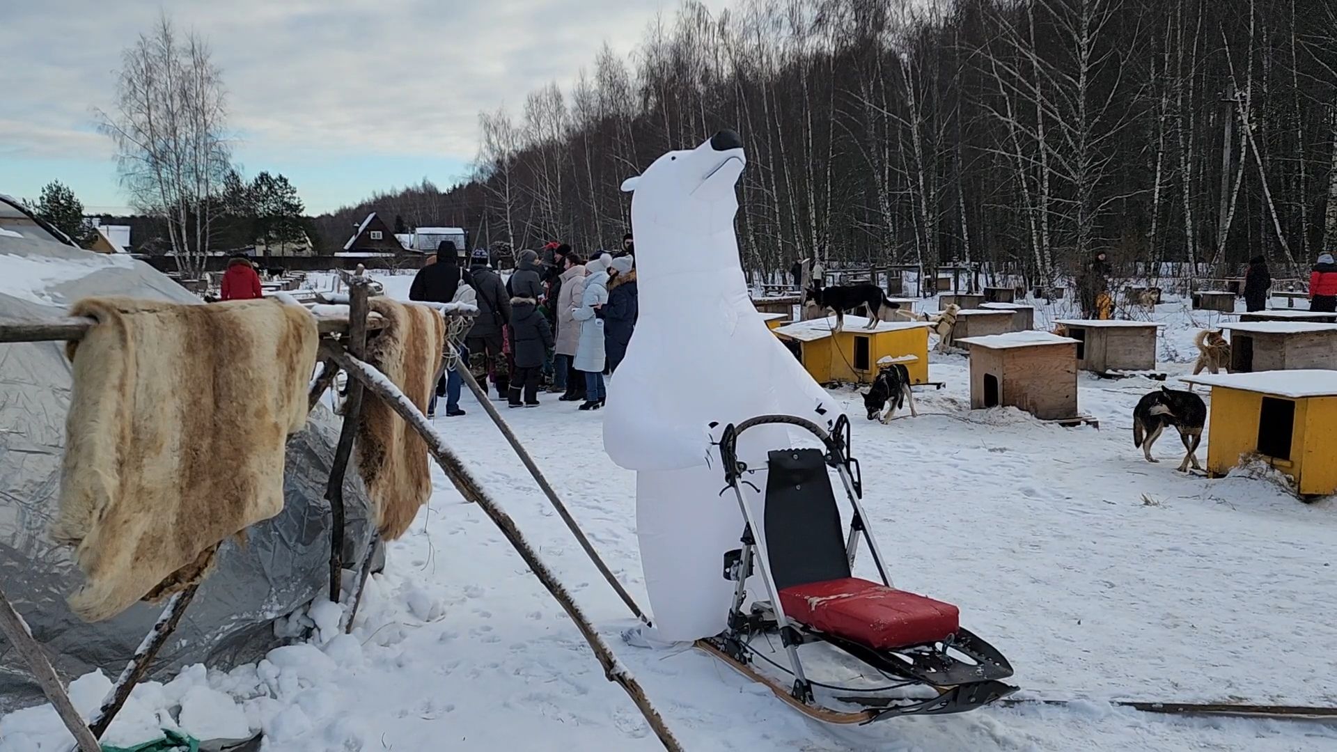 Раменское, Туризм, хаски парк раменское, Куда поехать с детьми, Катание на хаски,