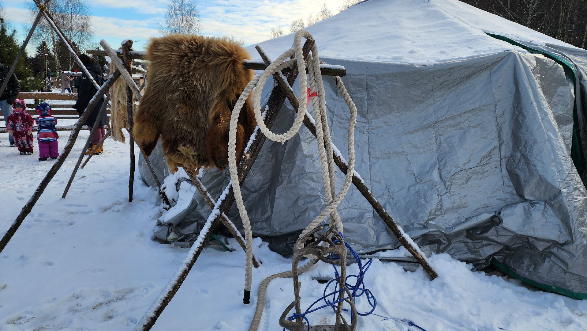 Раменское, Туризм, хаски парк раменское, Куда поехать с детьми, Катание на хаски,