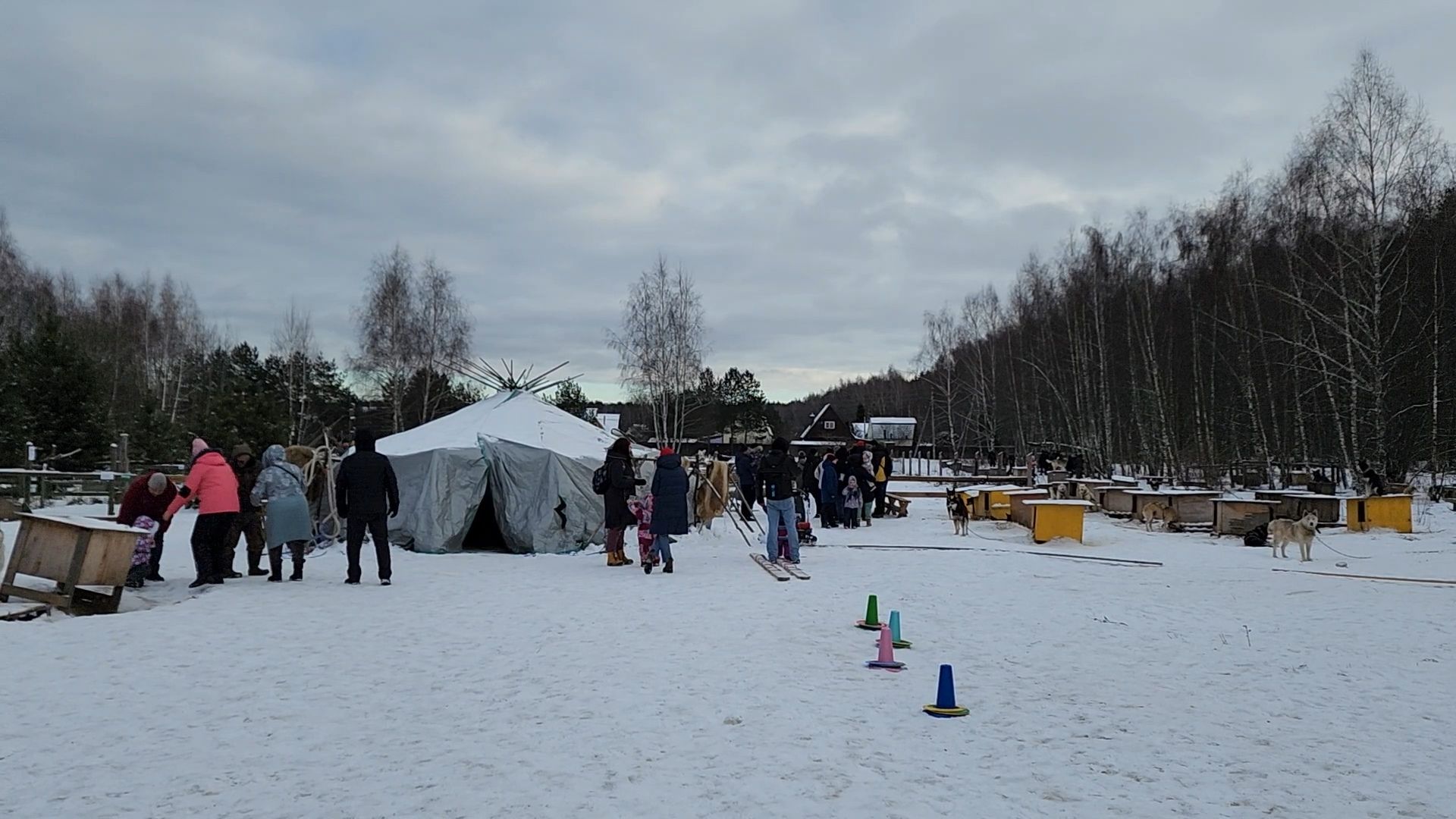 Раменское, Туризм, хаски парк раменское, Куда поехать с детьми, Катание на хаски,