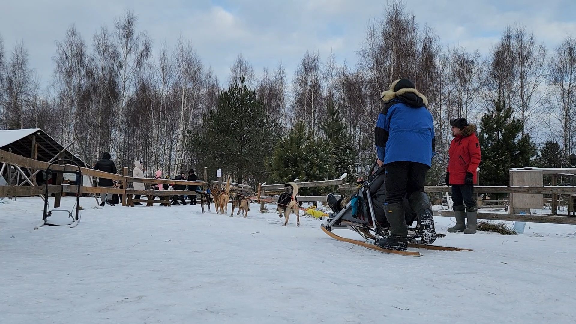Раменское, Туризм, хаски парк раменское, Куда поехать с детьми, Катание на хаски,